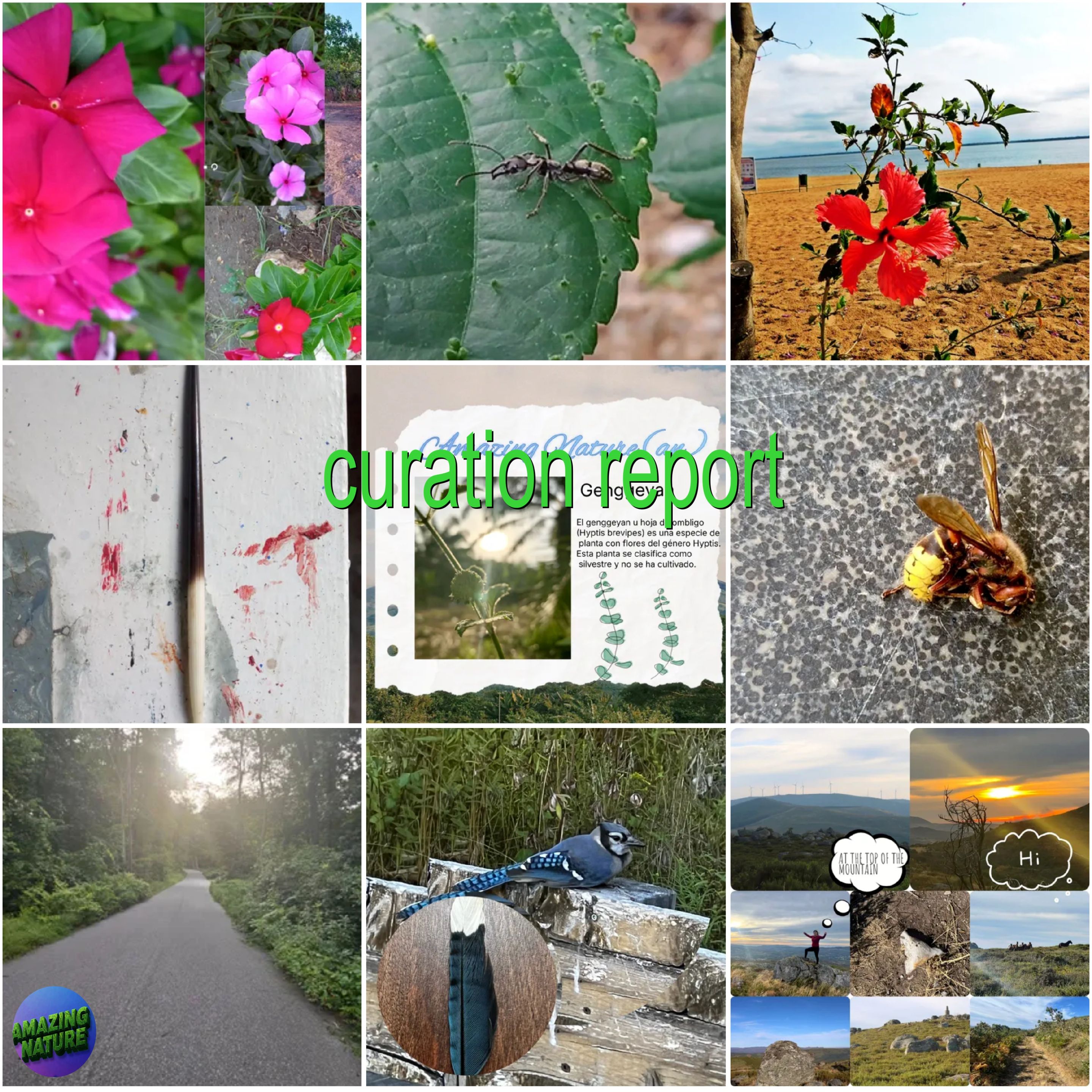 BeFunky-collage - 2025-09-15T142014.786.jpg