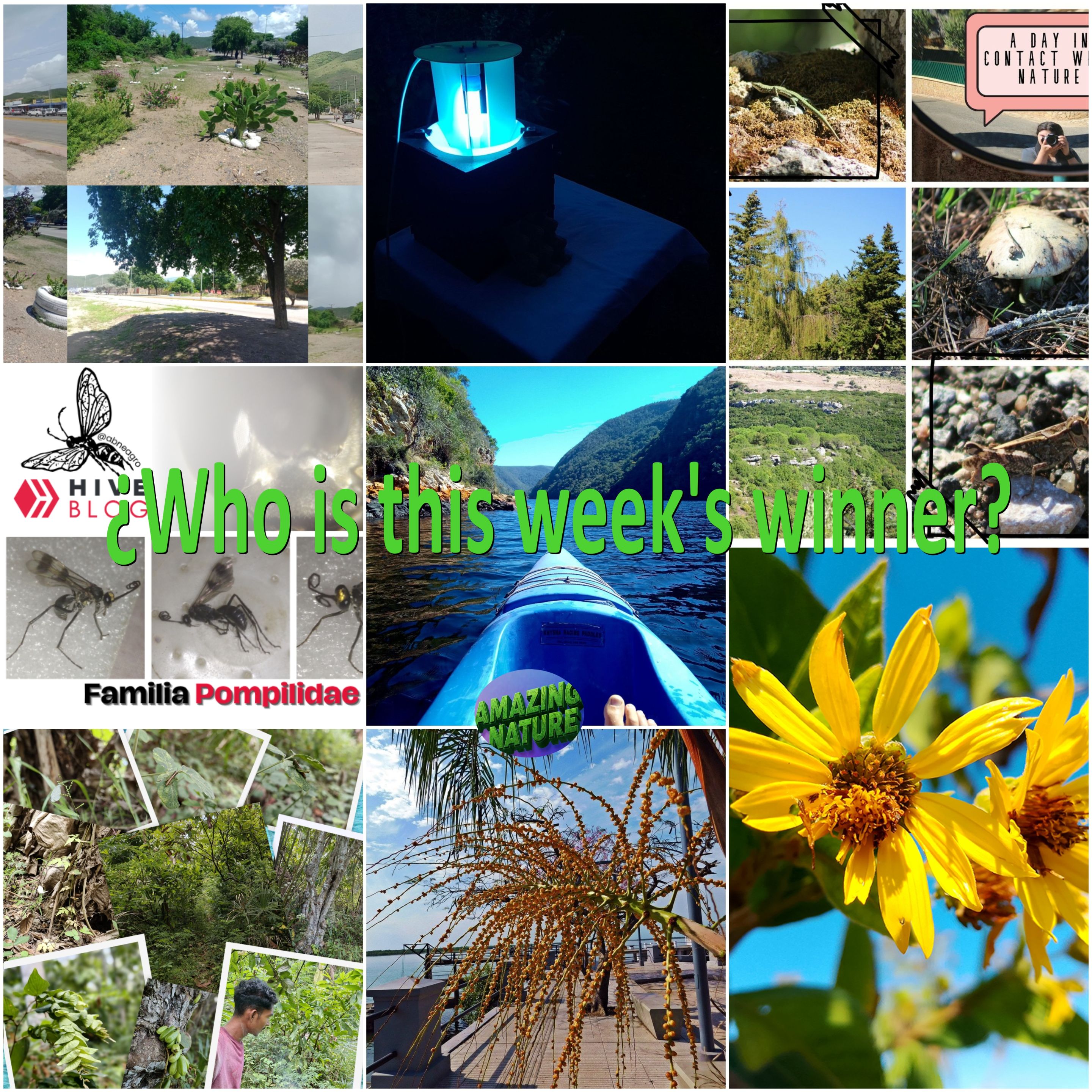 BeFunky-collage - 2025-10-15T090808.346.jpg