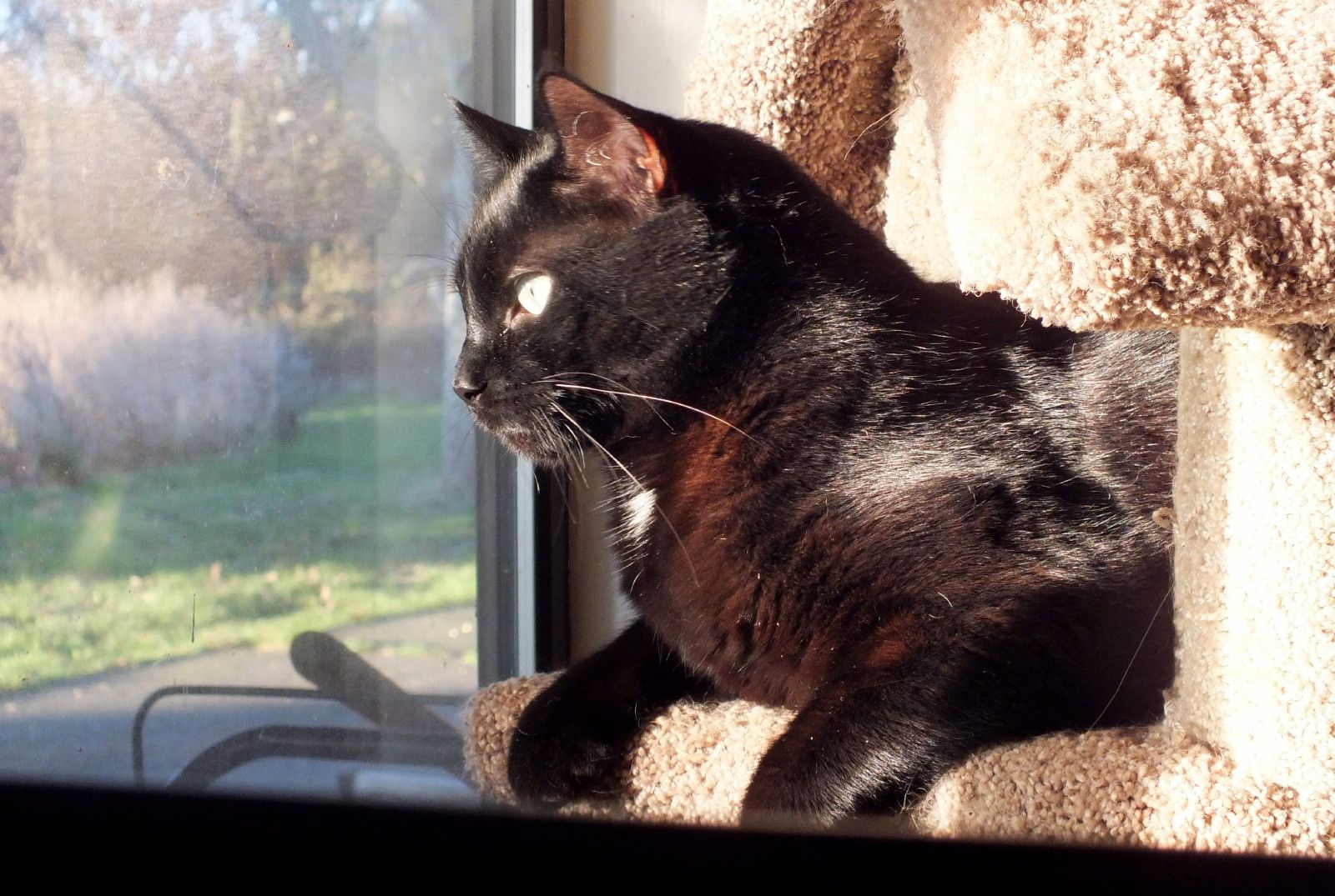 CC0140-OverScreen.JPG