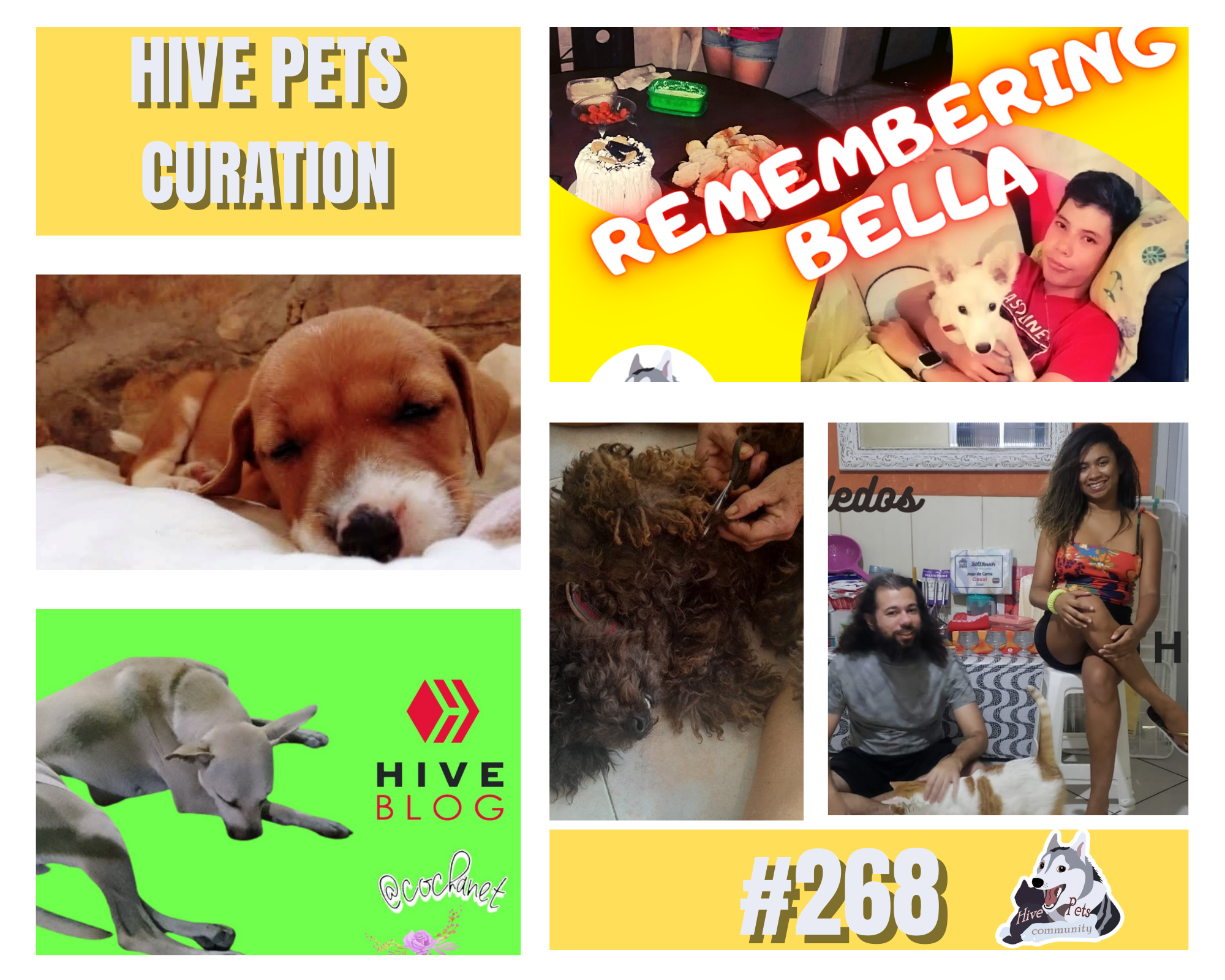HivePETS(7).png