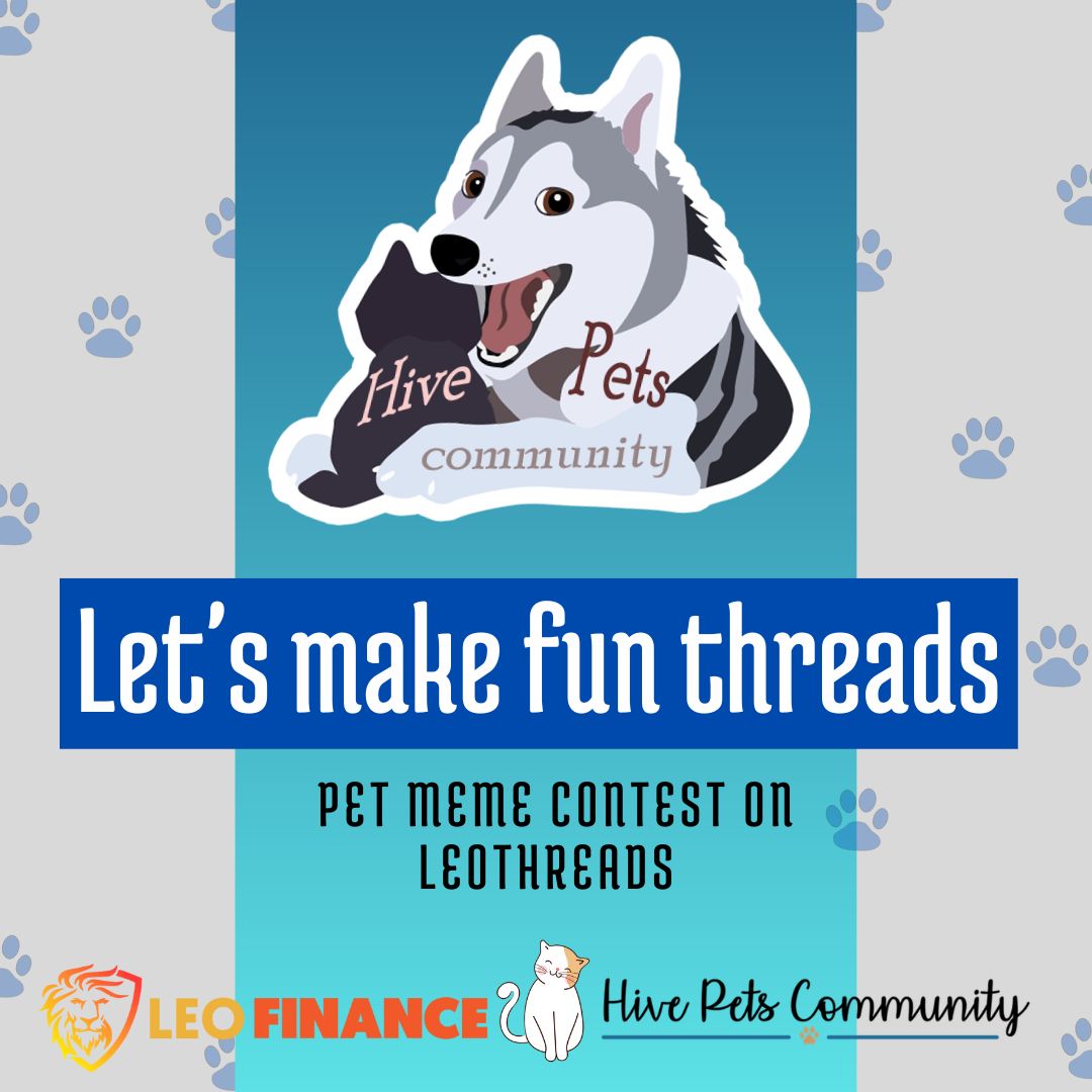 @hive-196708/lets-make-fun-threads-or-pet-meme-contest-on-leothreads