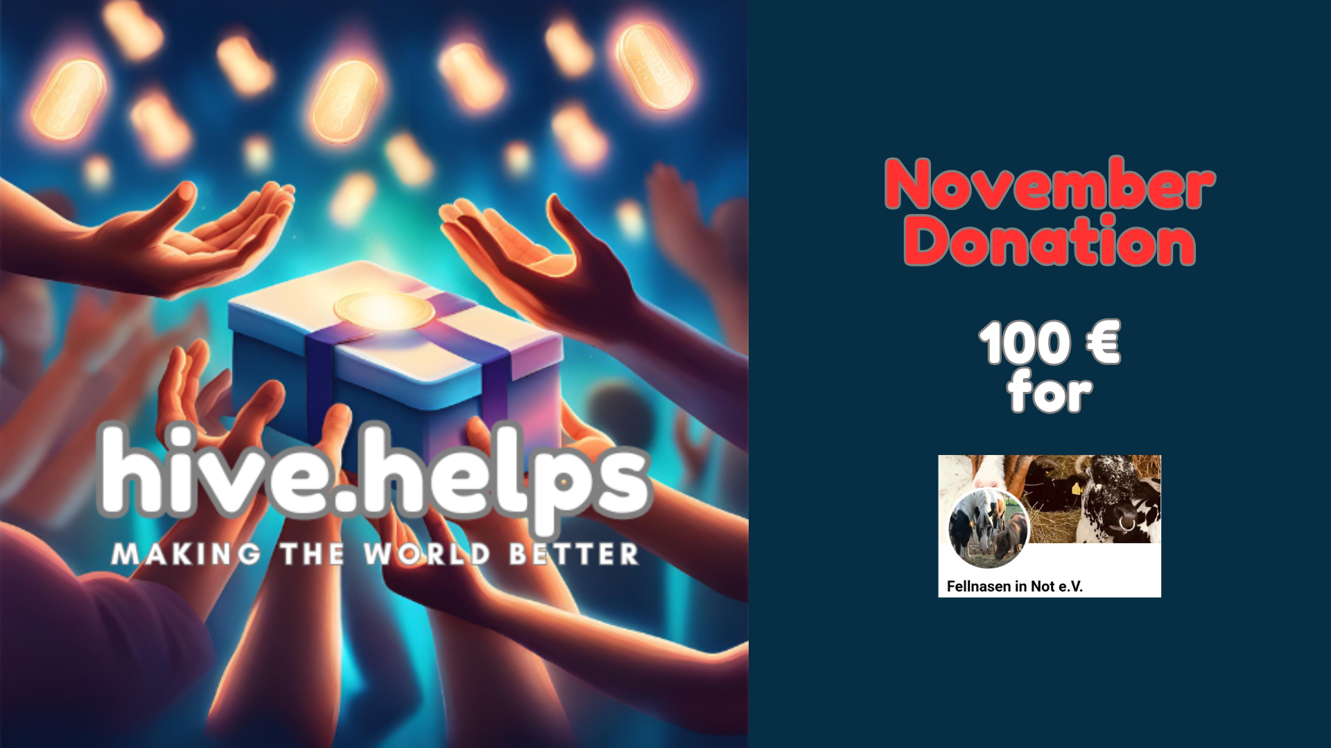 HiveHelps_Don_Nov24.png