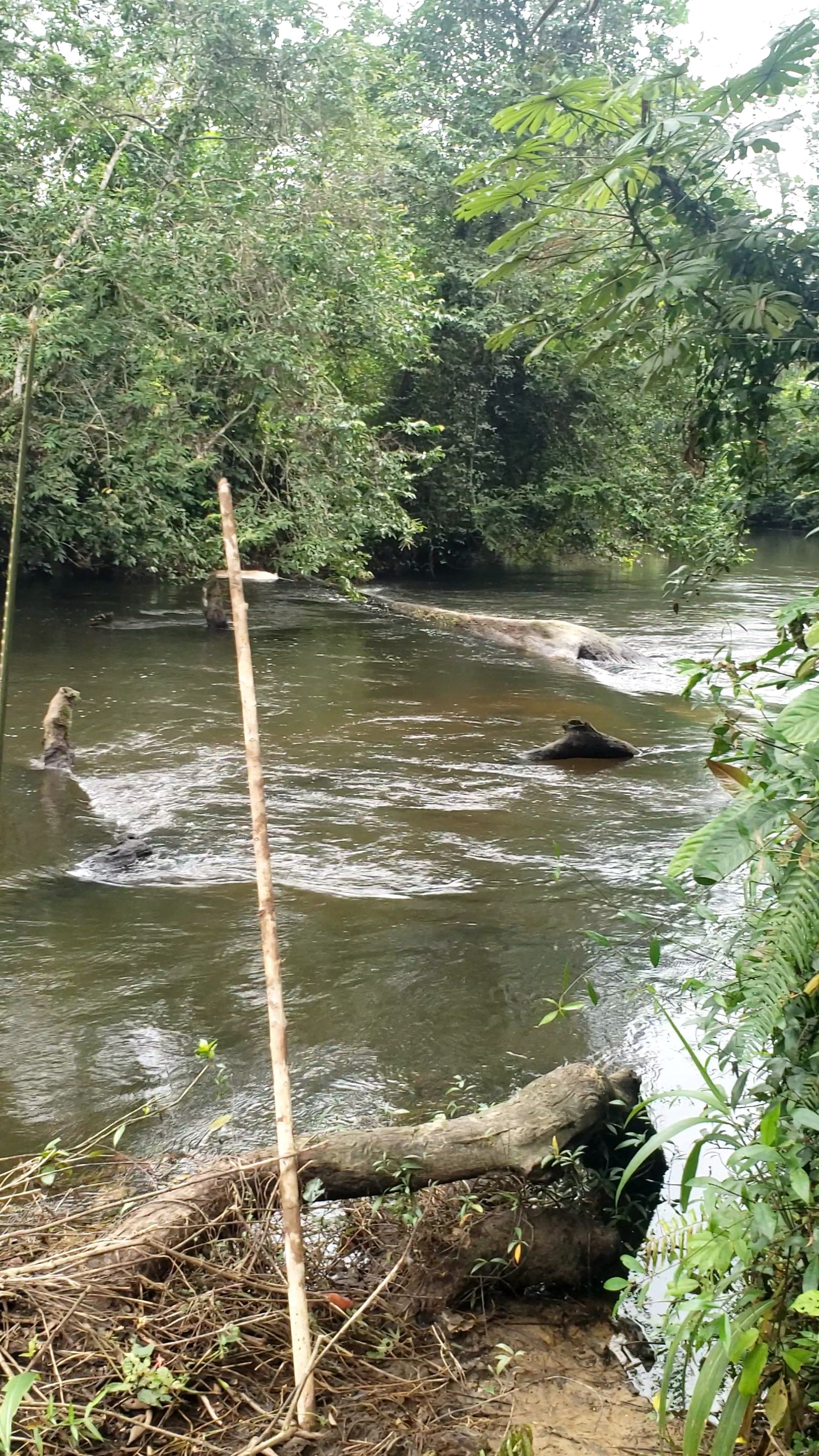 VideoCapture_20250902-215238.jpg