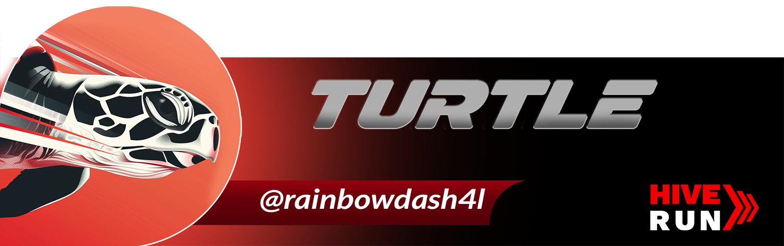 turtle @rainbowdash4l.png