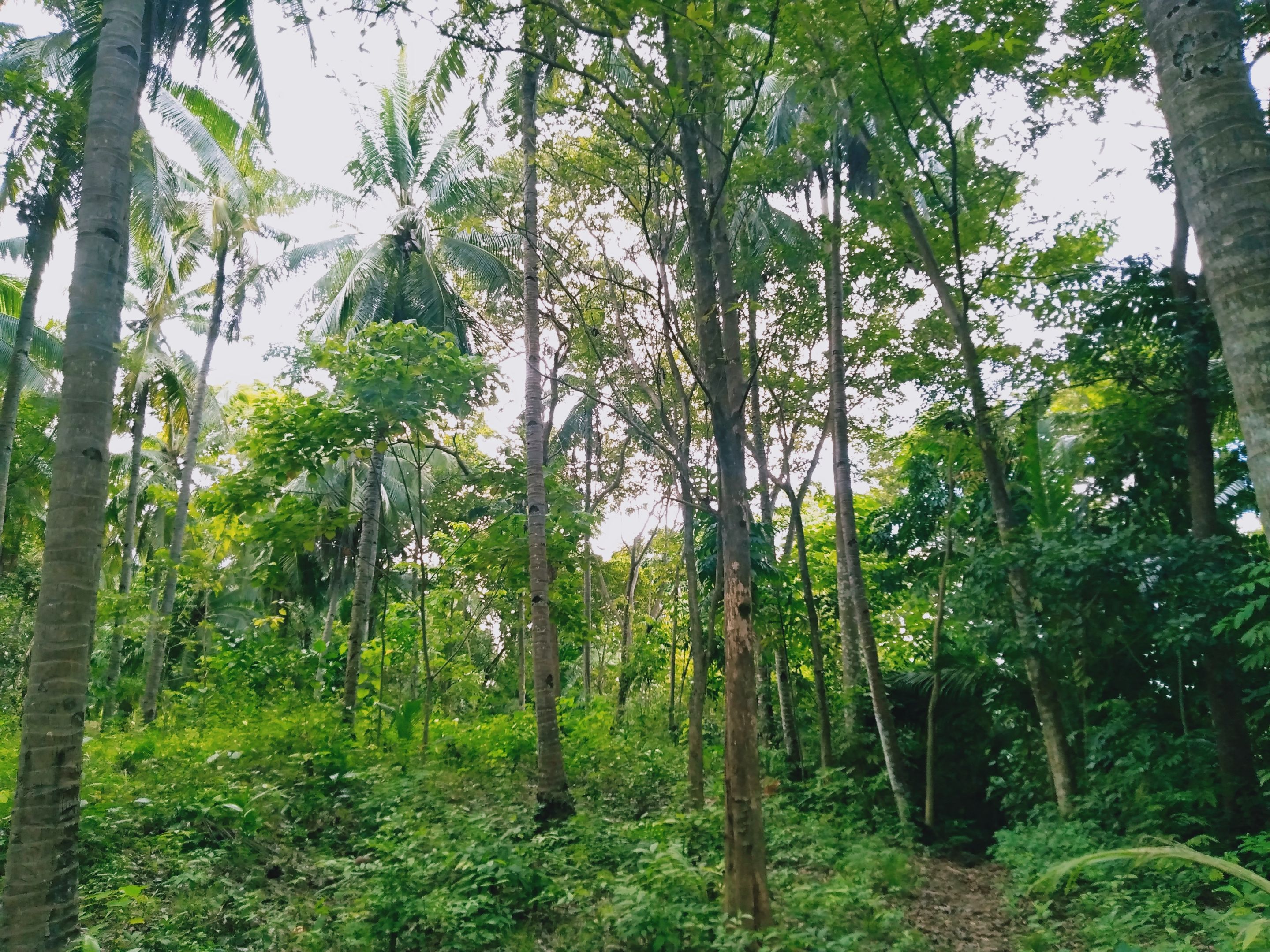 IMG20221119132034.jpg