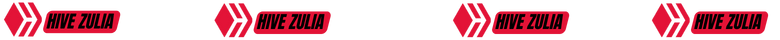 Separador - Hive Zulia.png