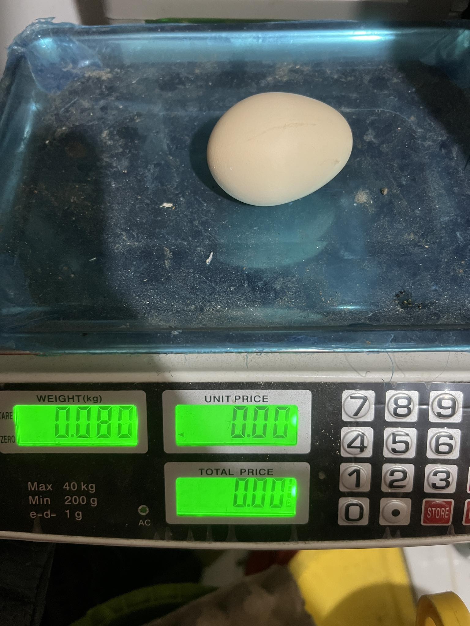 396320470_1014538789753194_6642810550947983498_n.jpg