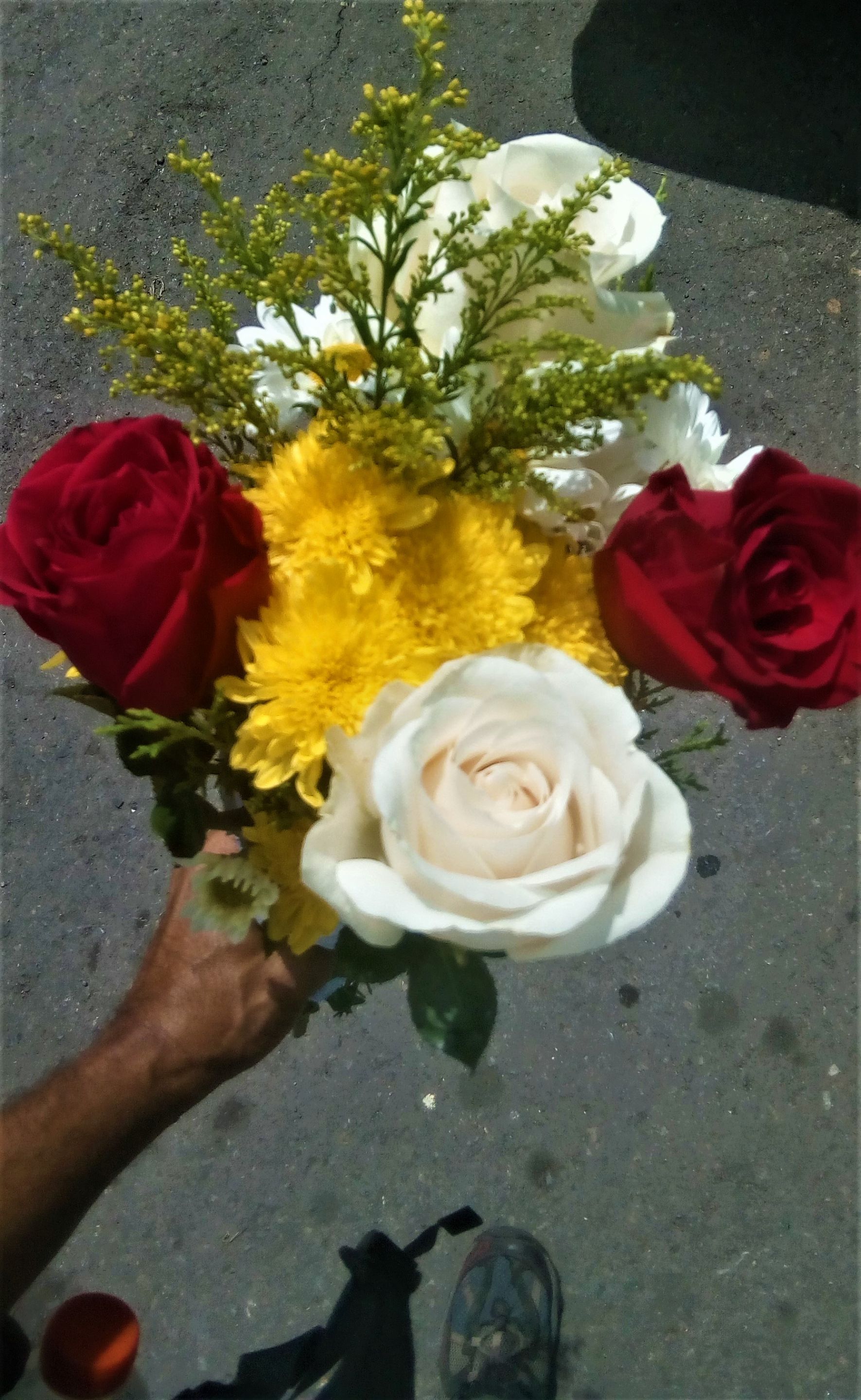 IMG_20211027_111815.jpg