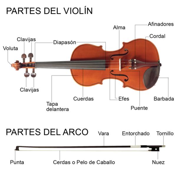 las_partes_del_violin_3970_1_600.jpg