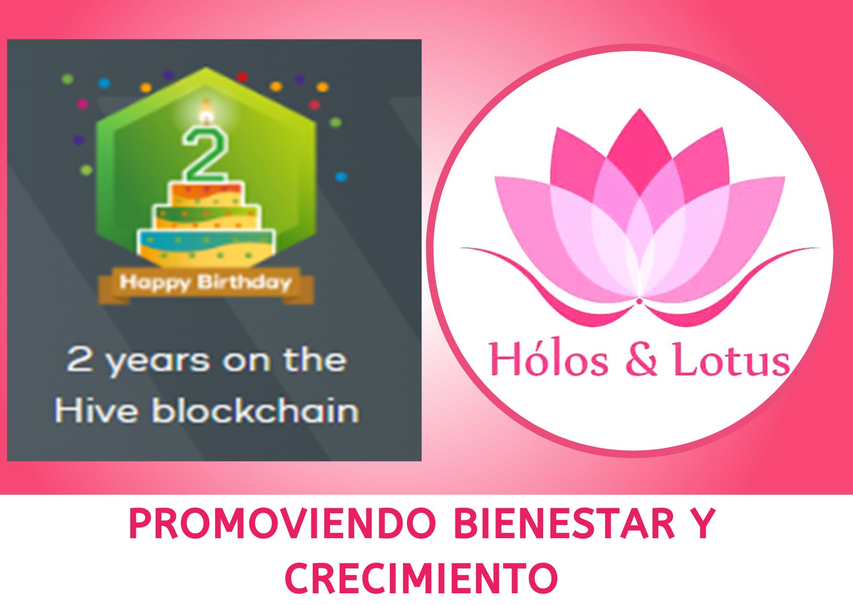 banner Holos 2023 (7).jpg