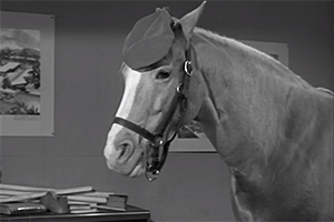 Mr.Ed.png