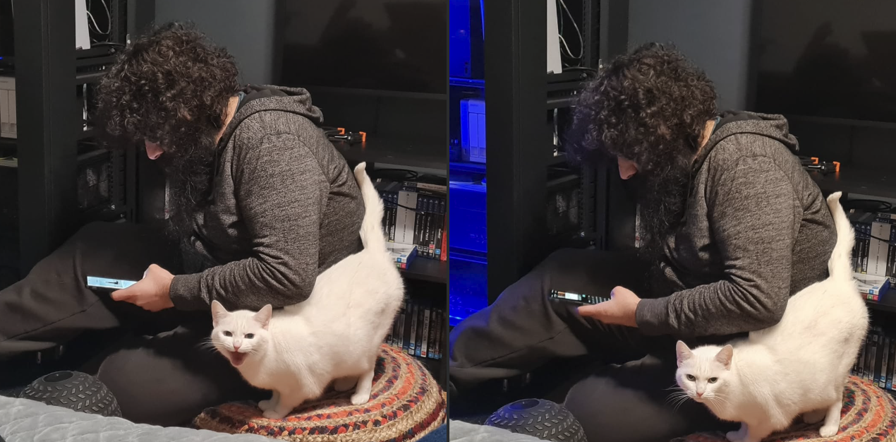 Such brave defence of me