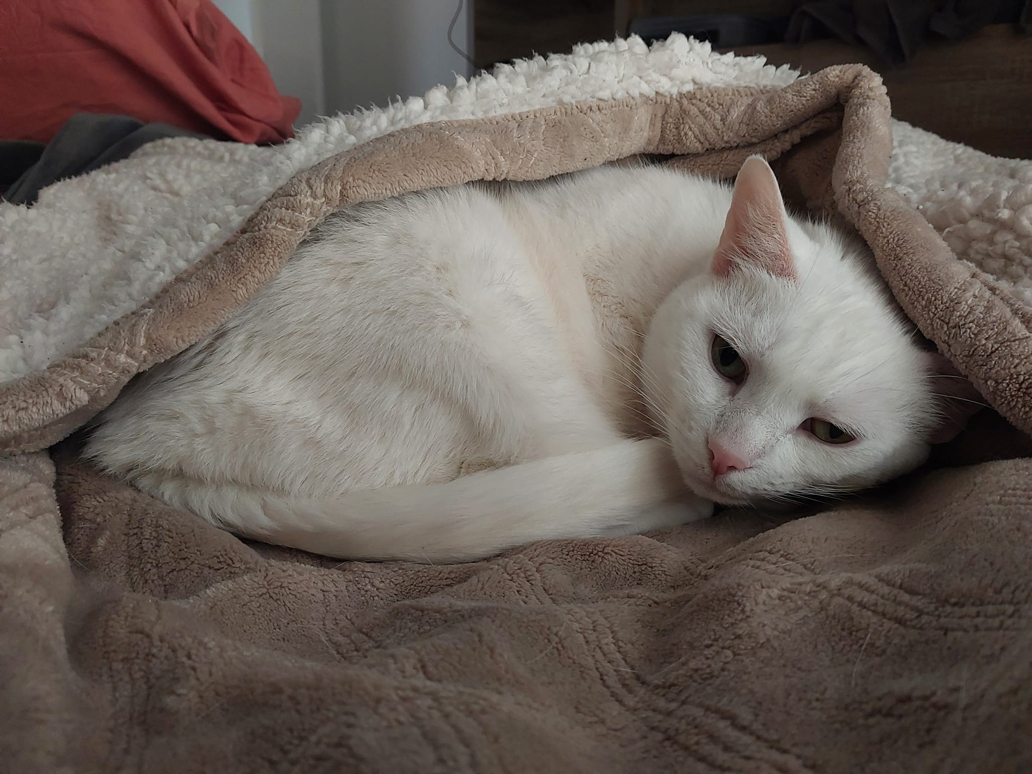 Go away, I'm sleeping