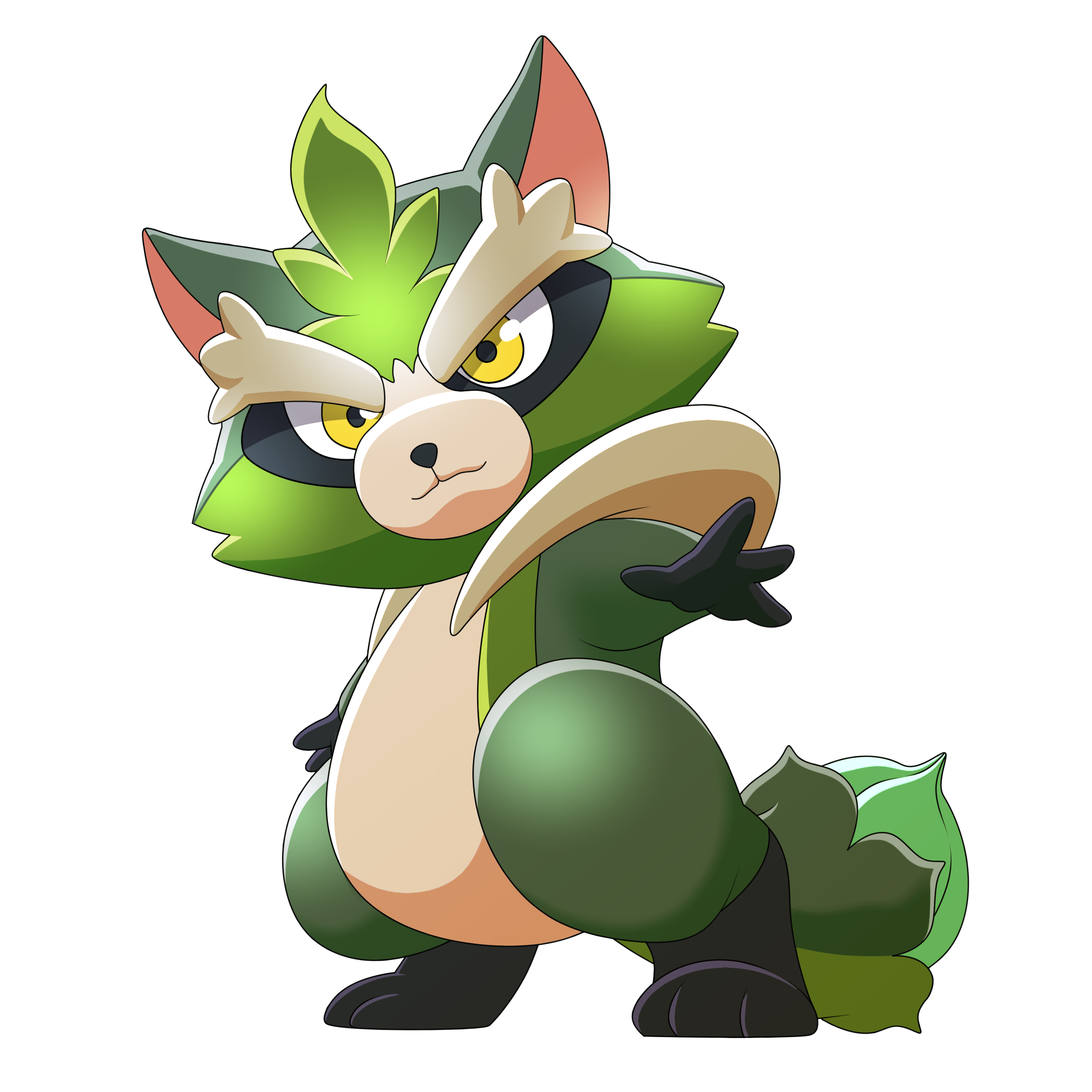 racoon.png
