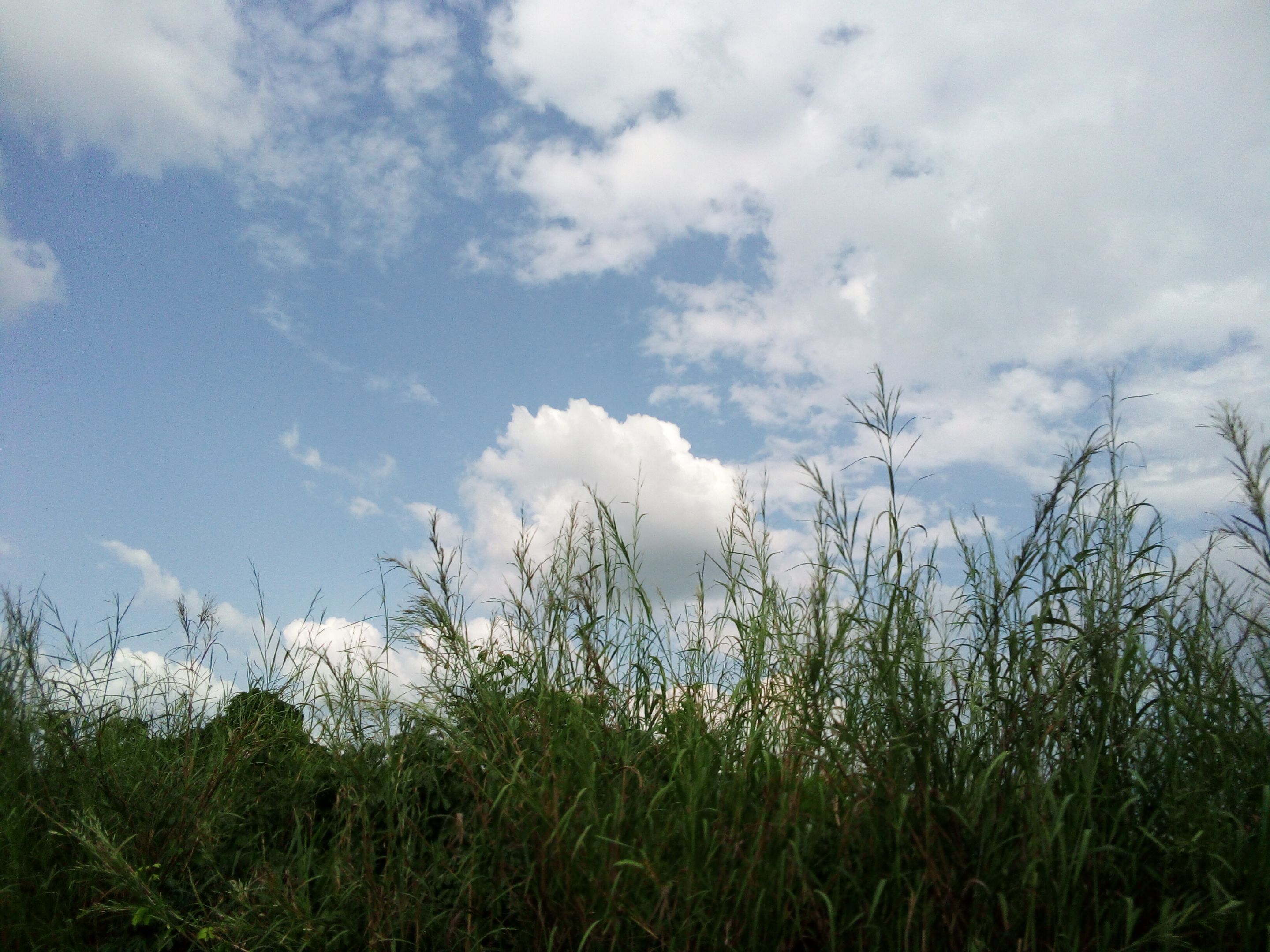 IMG_20231028_153836_535.jpg