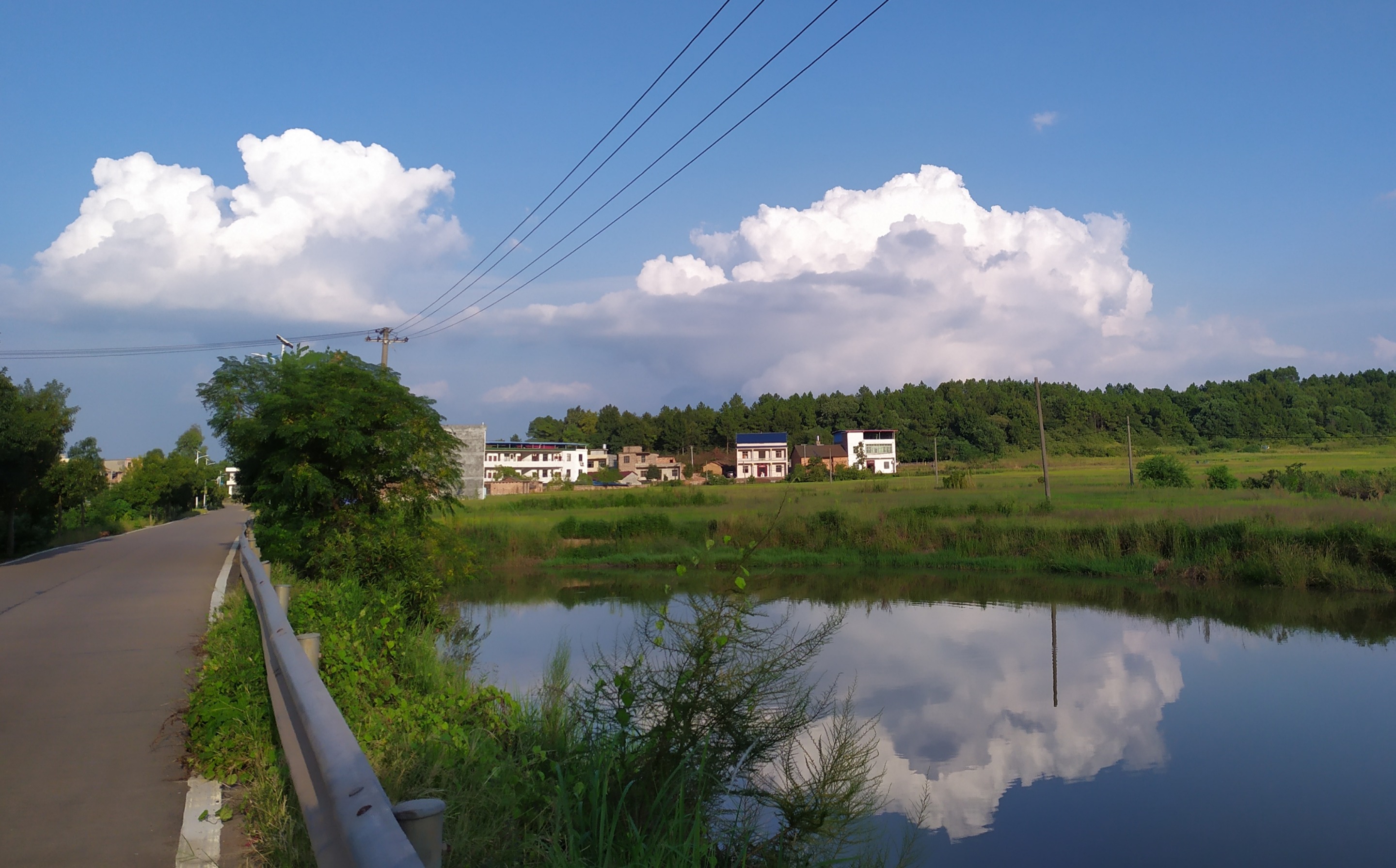IMG_20200826_202145.jpg