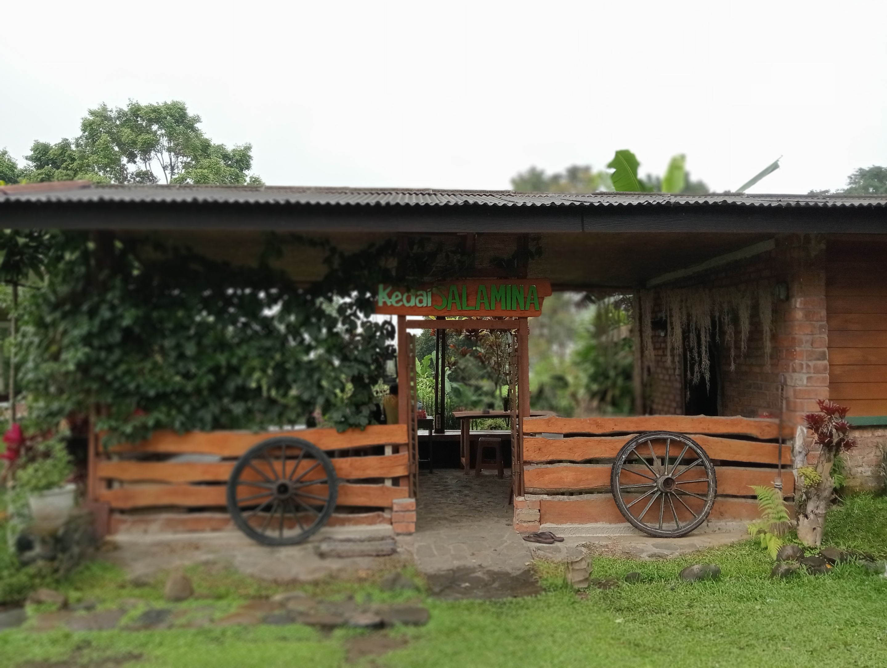 IMG20250819100318.jpg