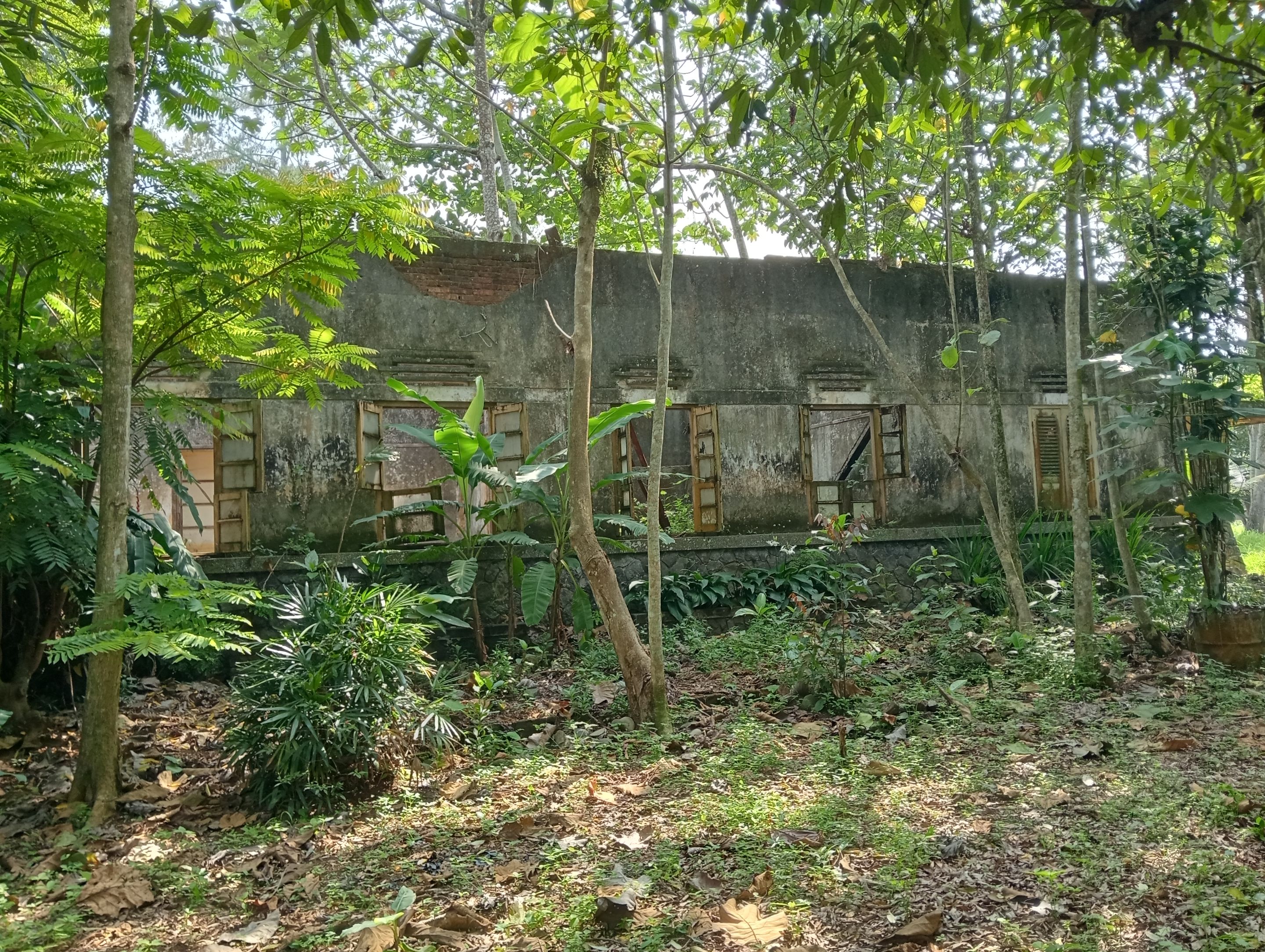 IMG20250923092728.jpg
