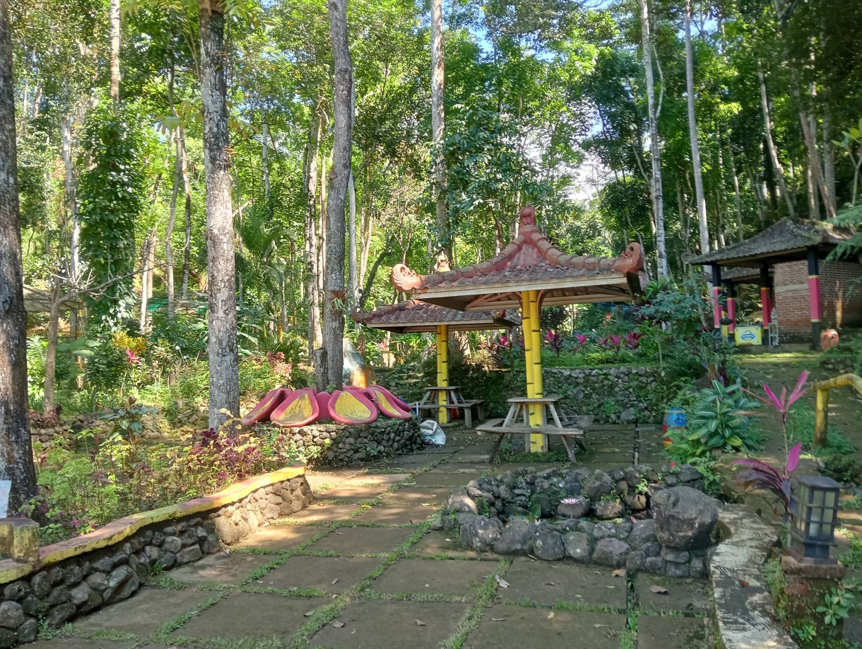 IMG20250608102822.jpg