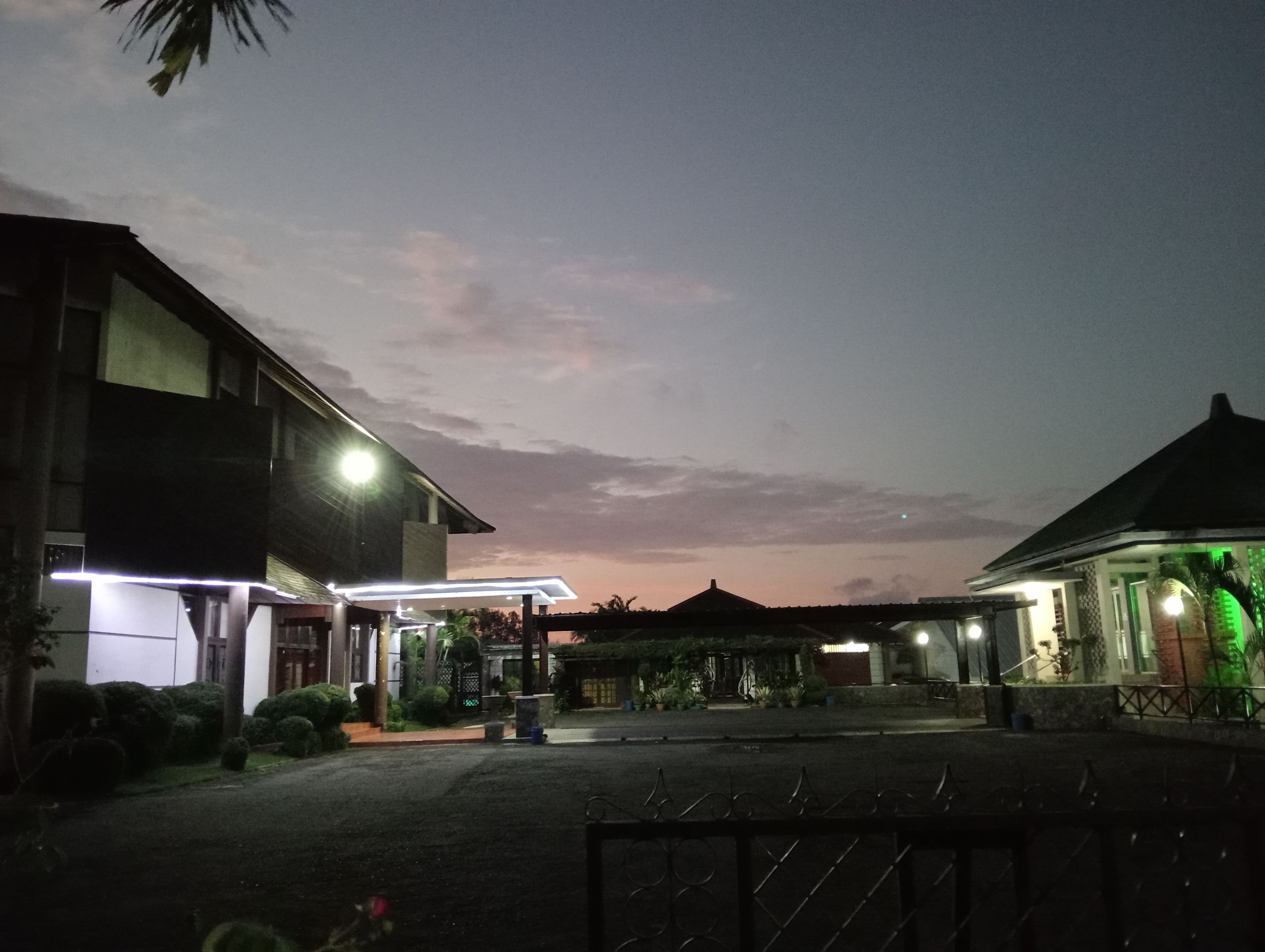 IMG20250607052801.jpg