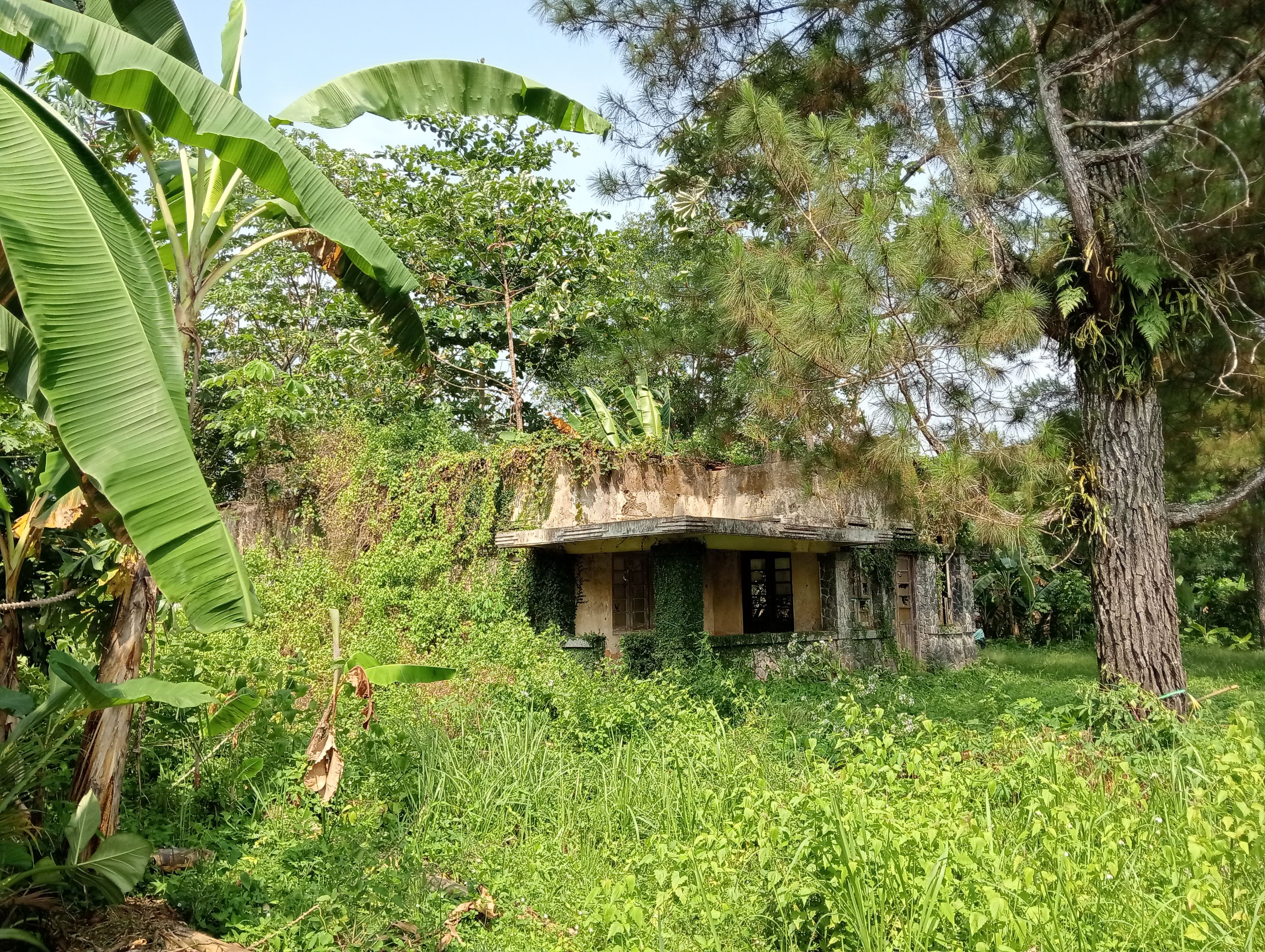 IMG20250923093045.jpg