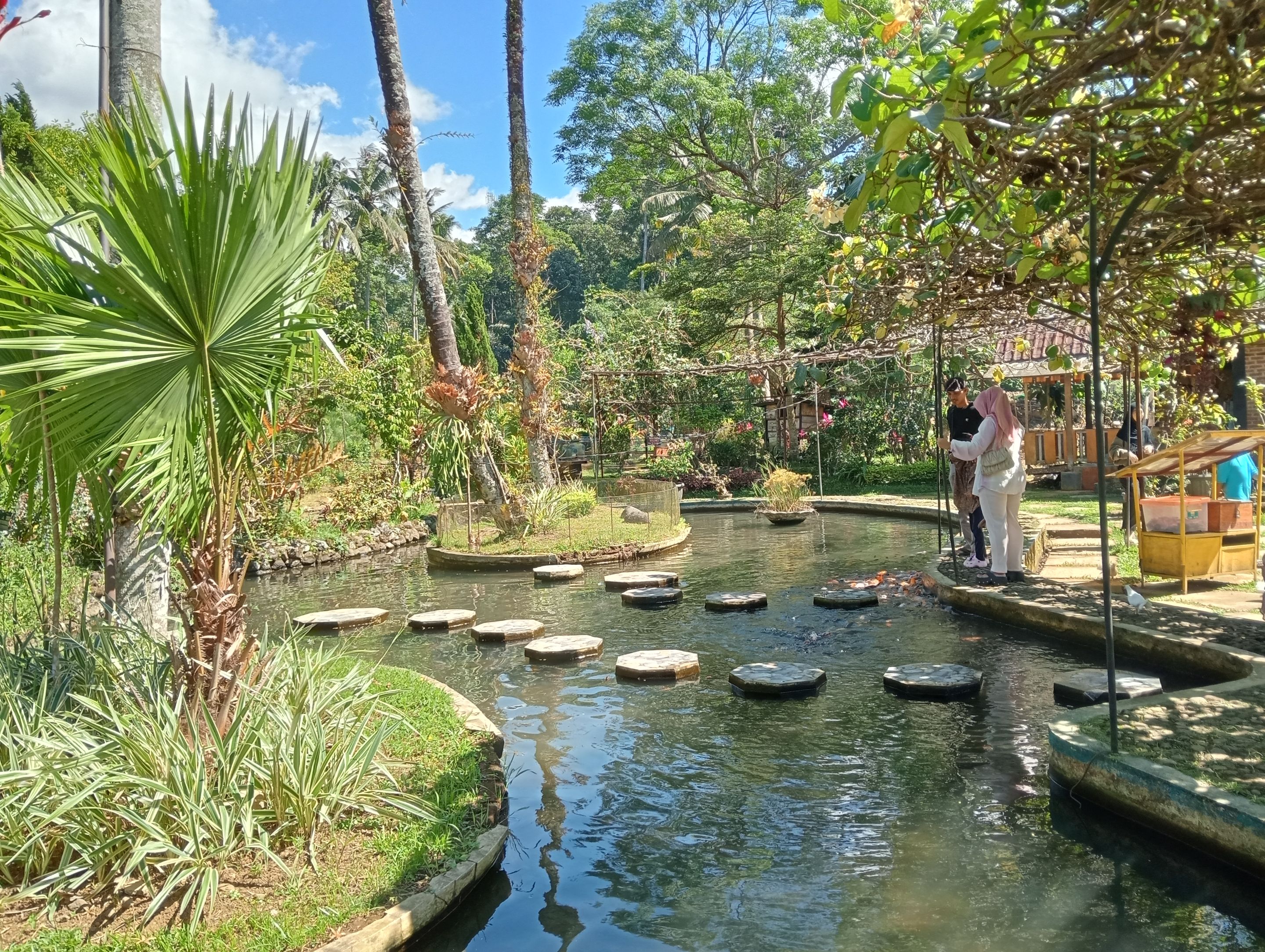 IMG20250608102309.jpg