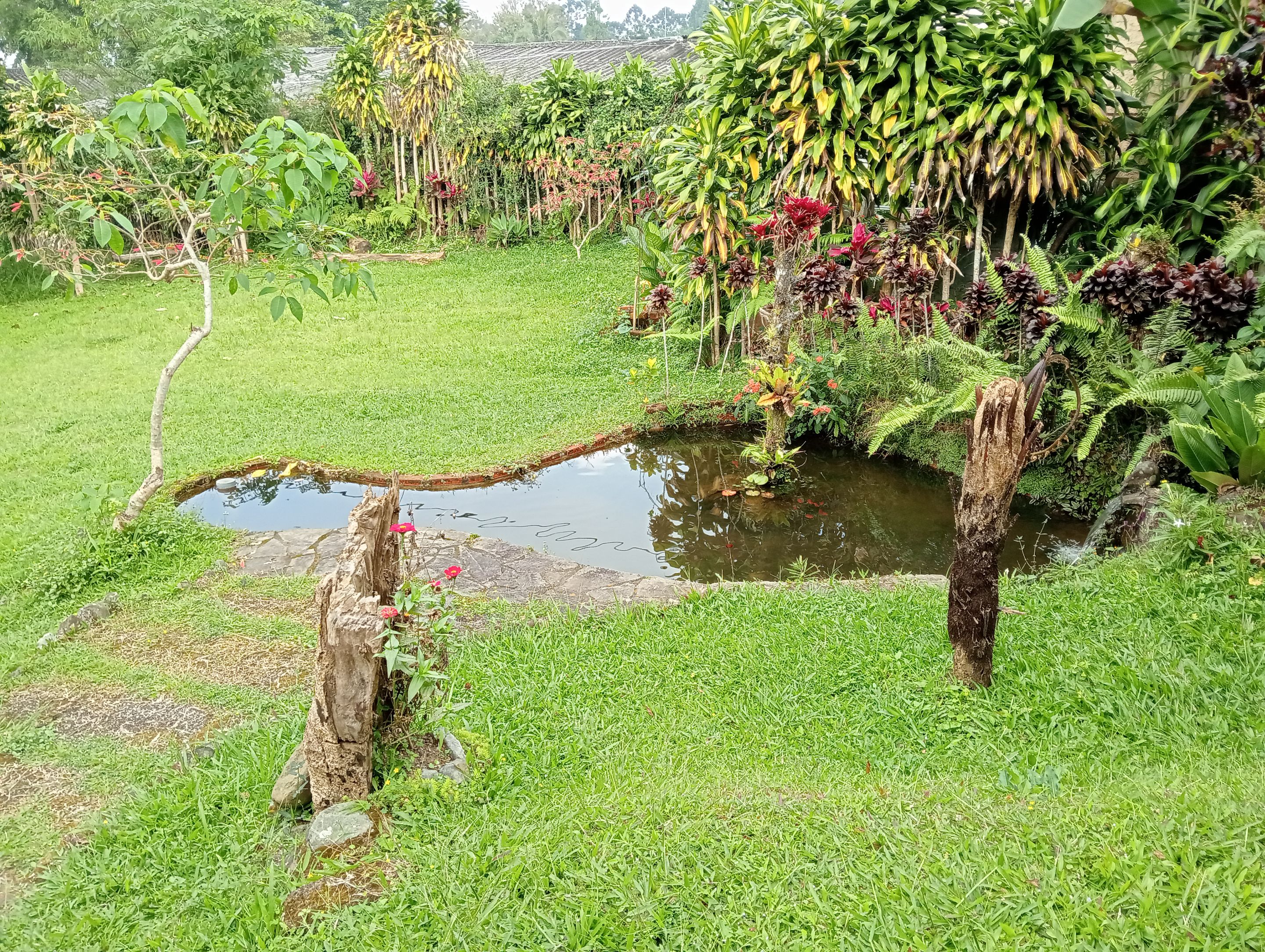 IMG20250823100010.jpg