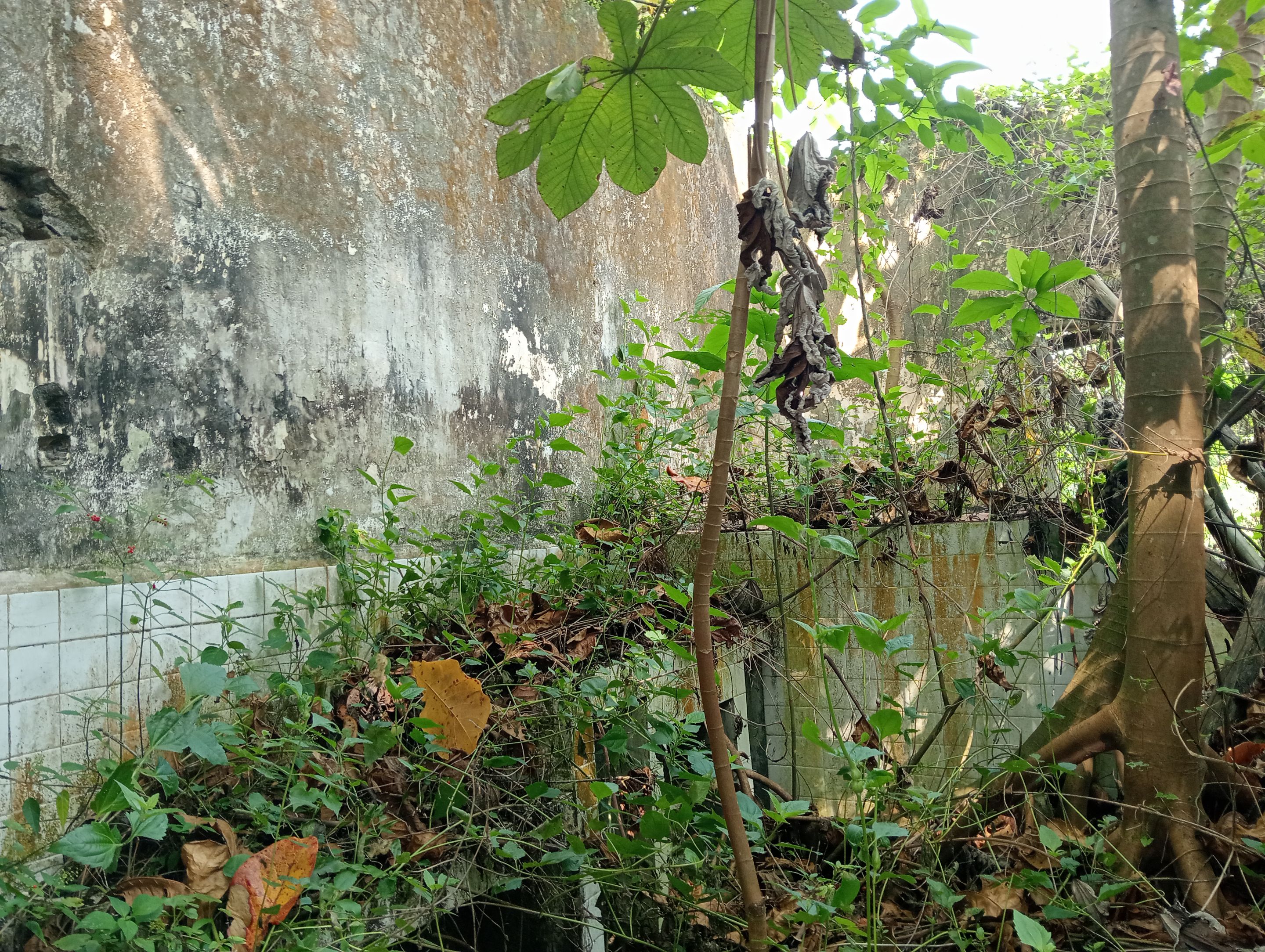 IMG20250923092040.jpg