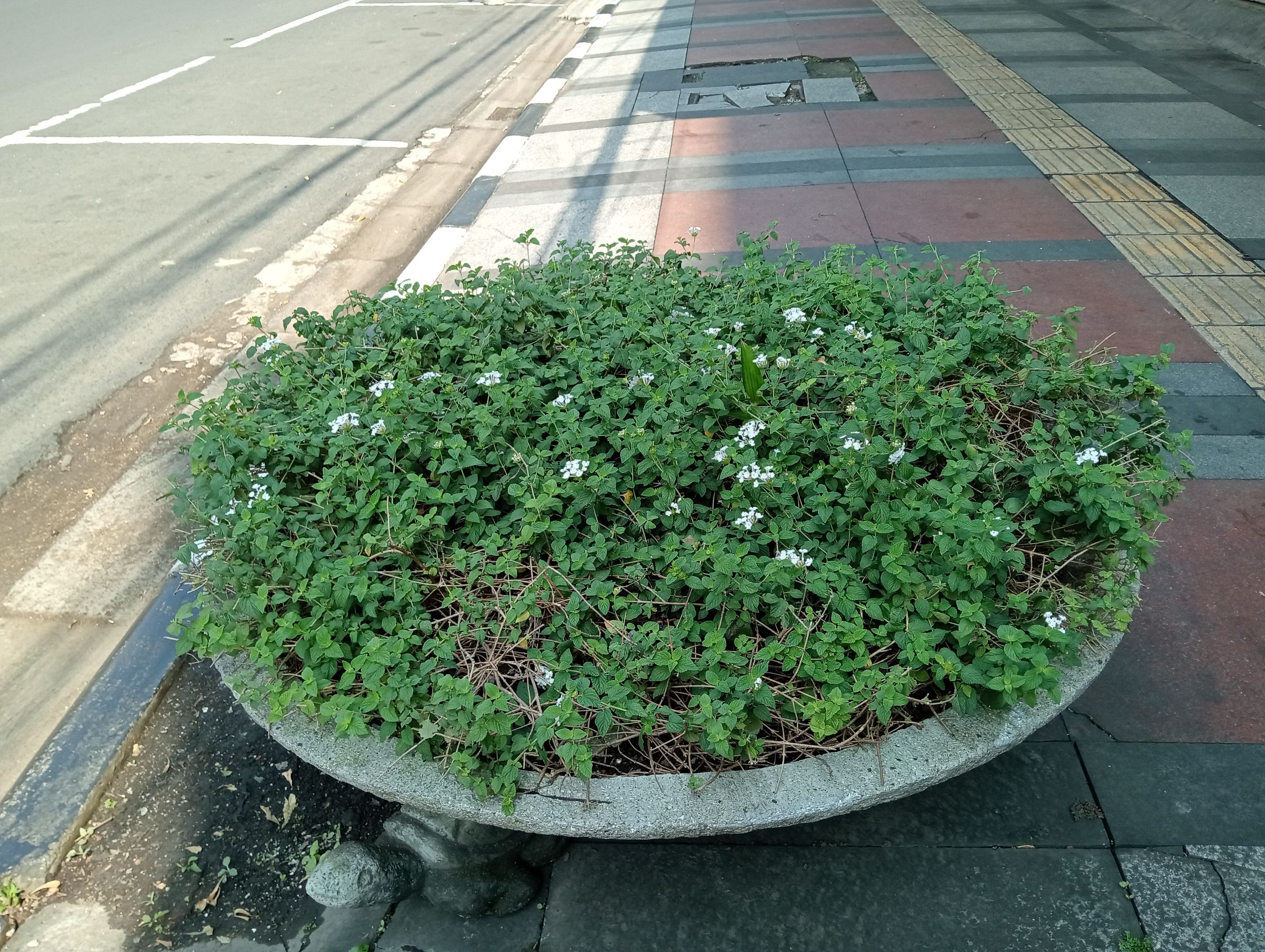IMG20250905092617.jpg