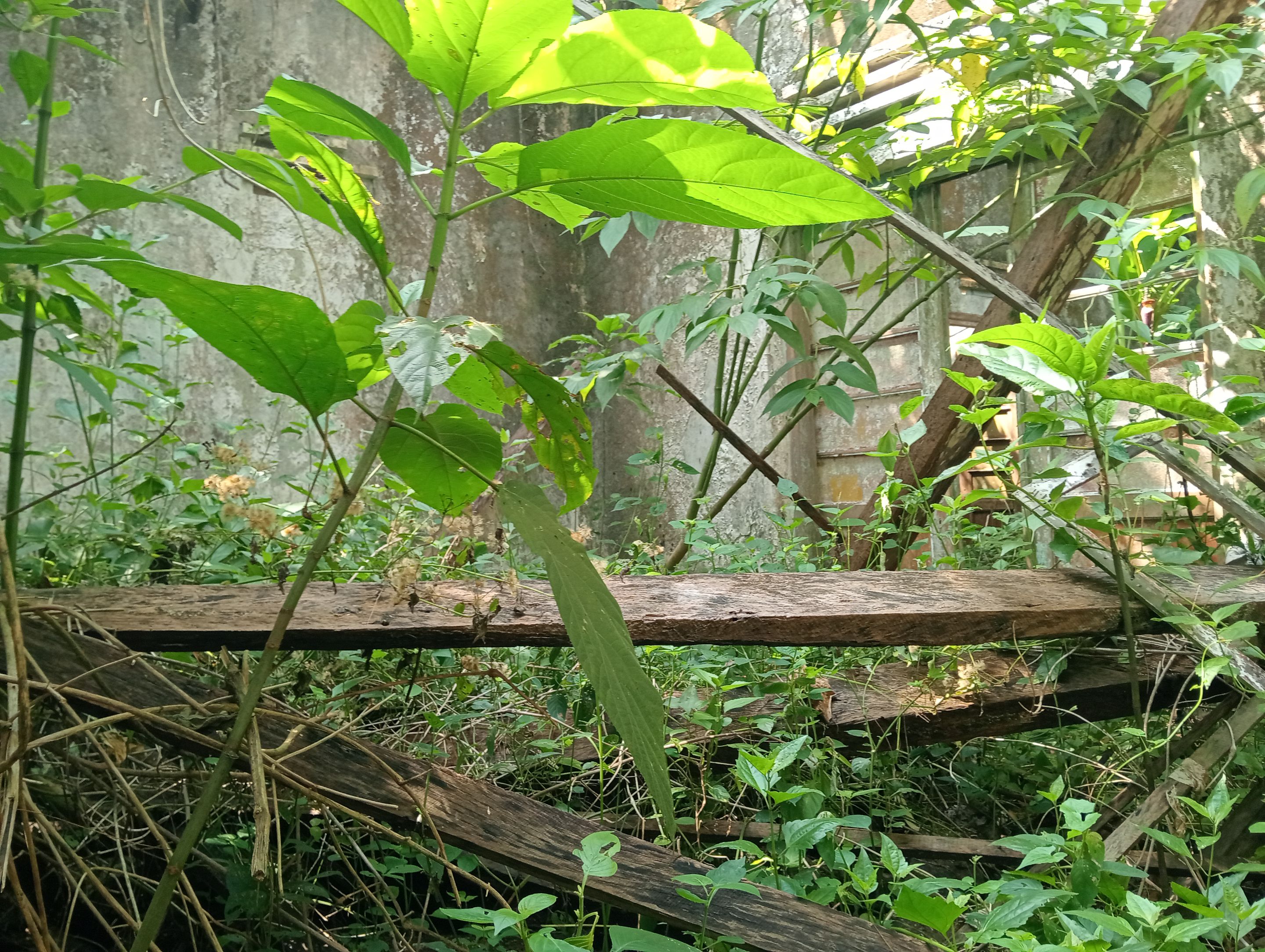 IMG20250923091951.jpg