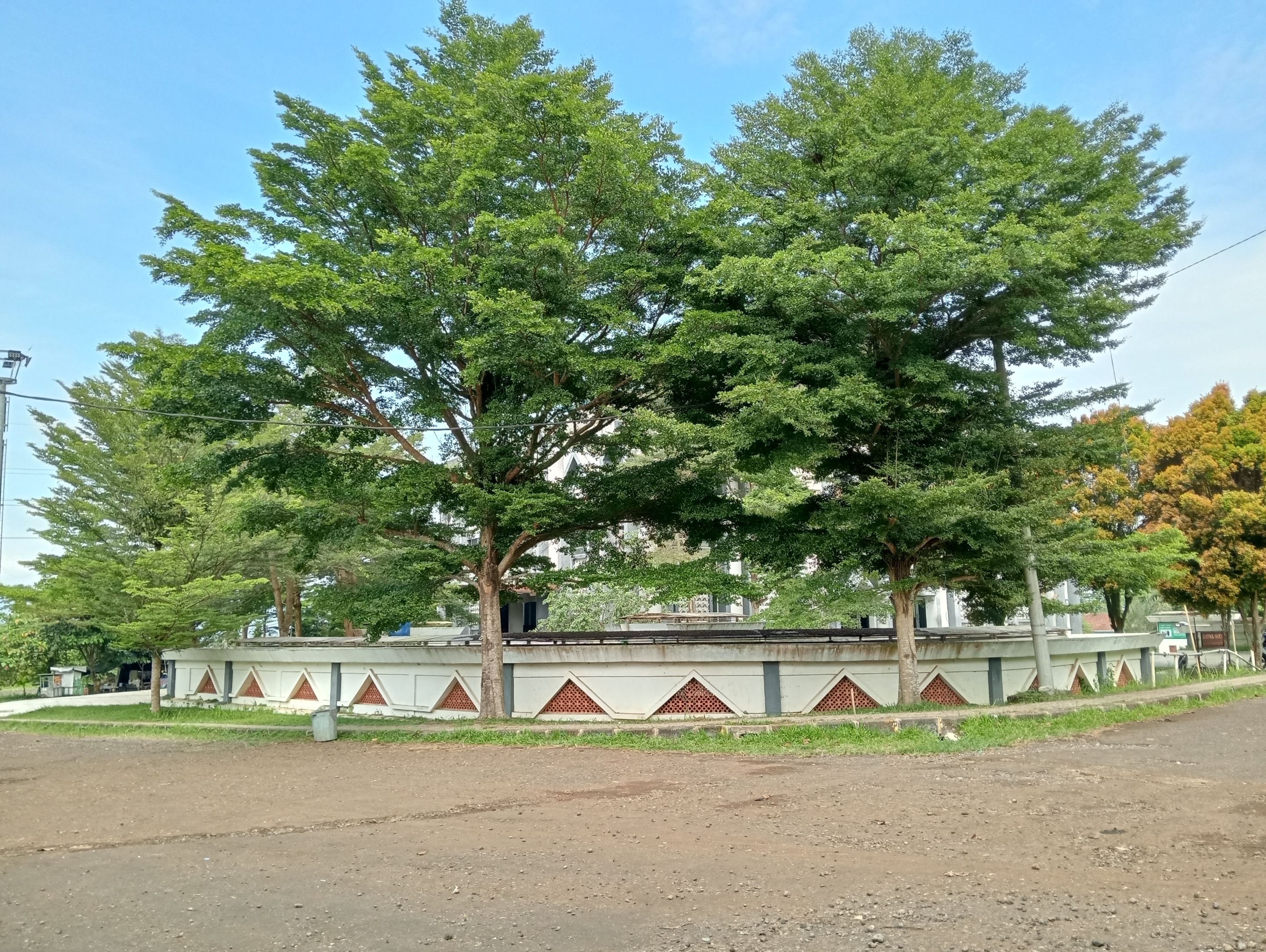 IMG20250909100735.jpg