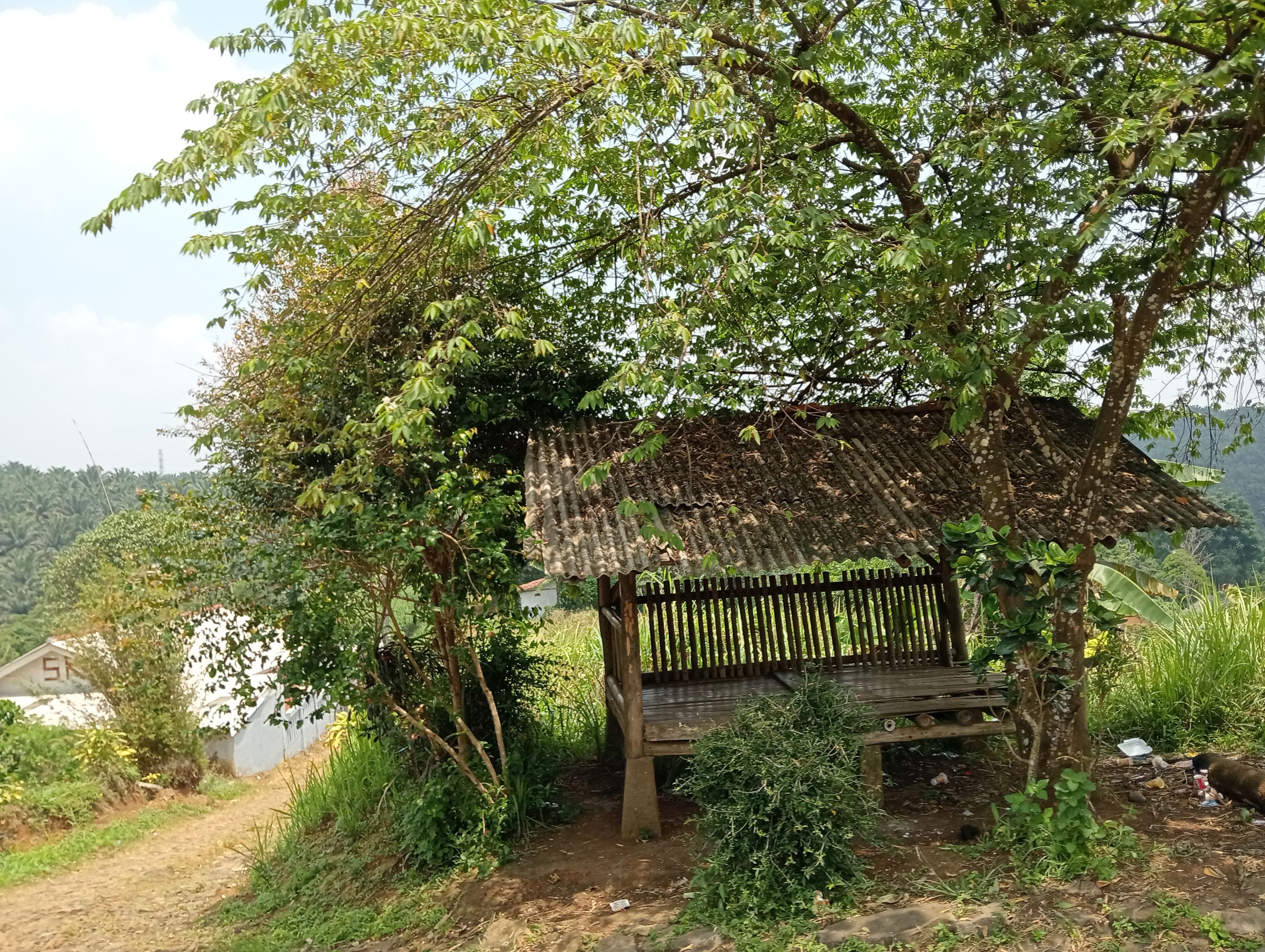 IMG20250923111532.jpg