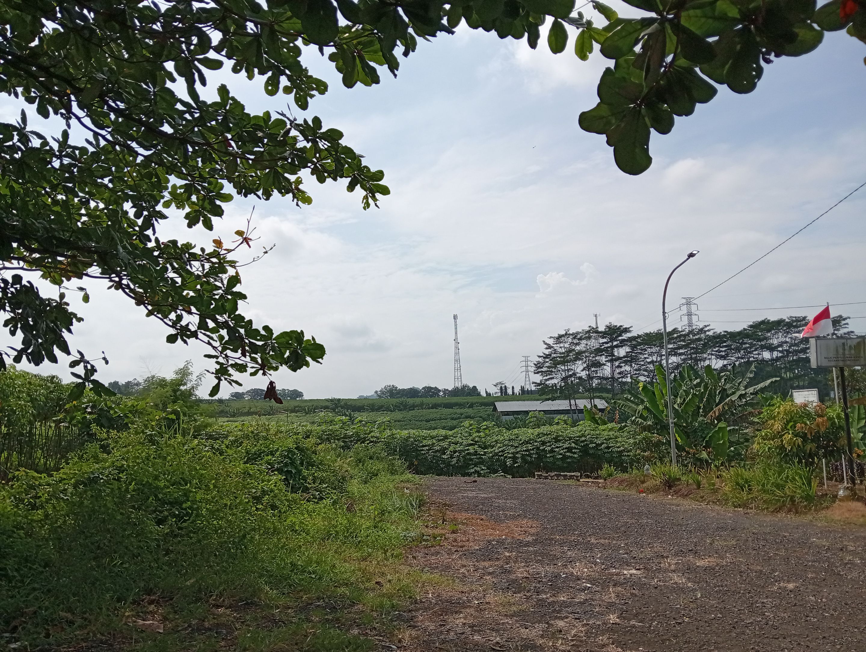 IMG20250909095959.jpg