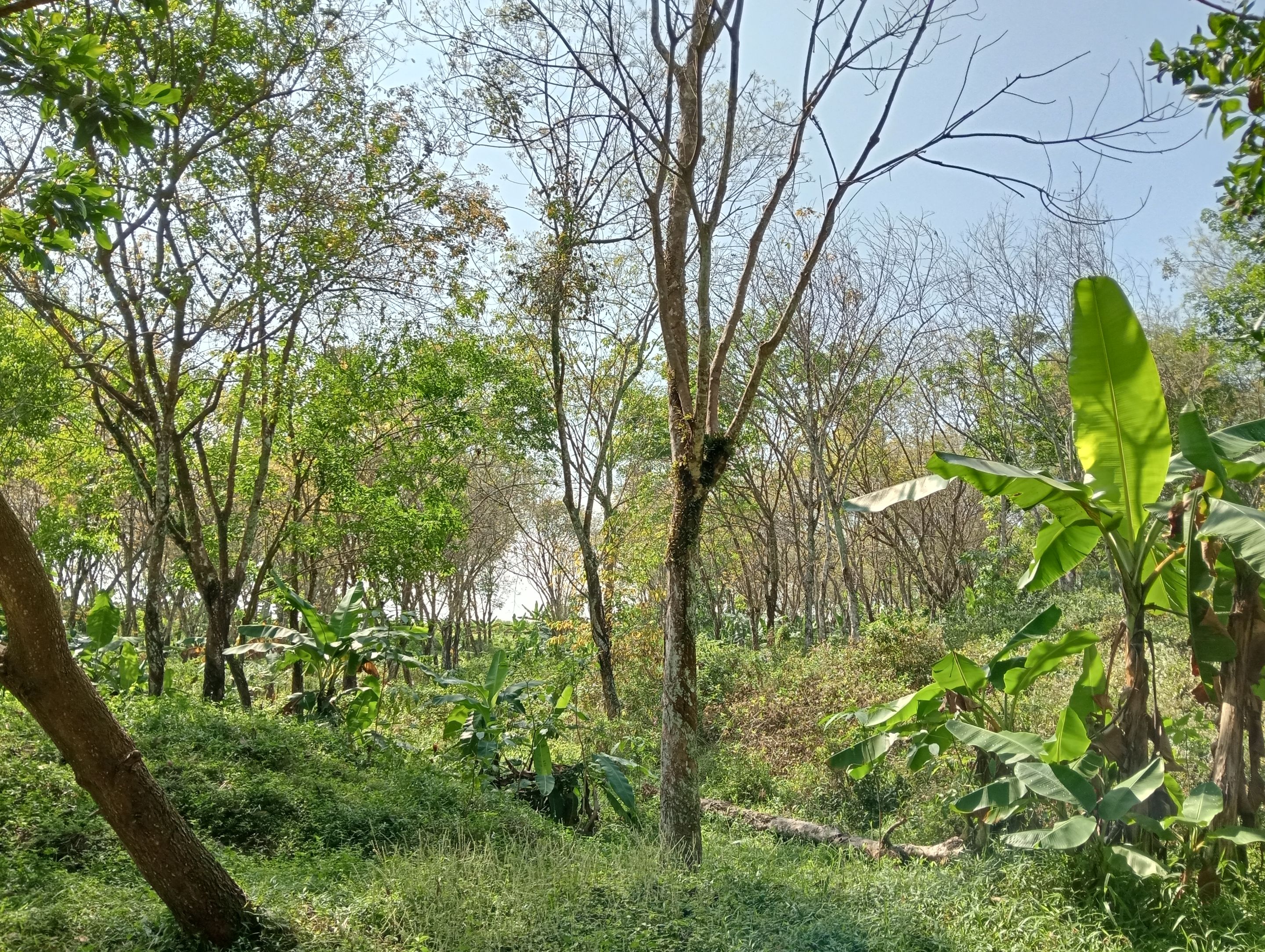 IMG20250804094605.jpg