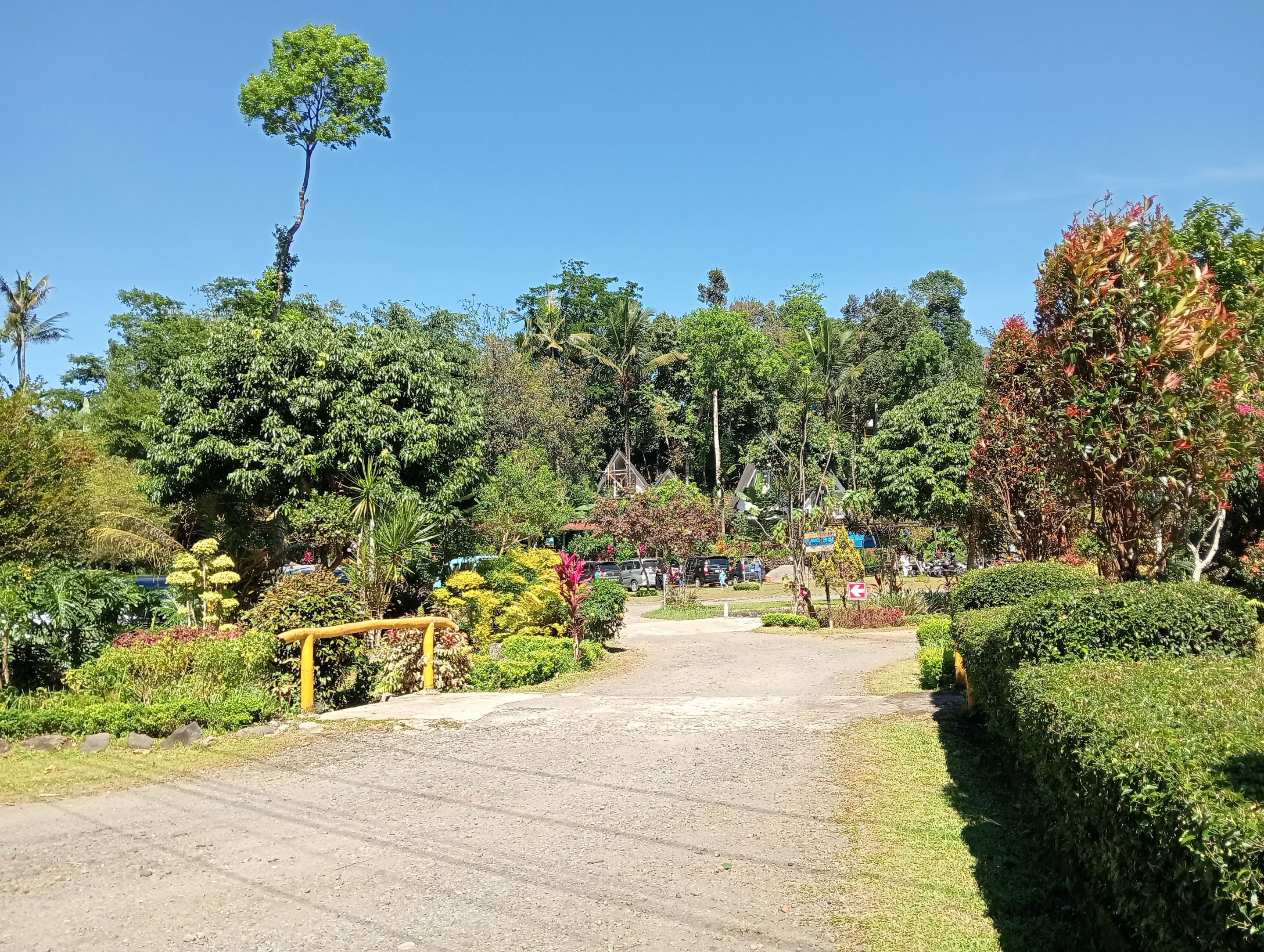 IMG20250608101857.jpg