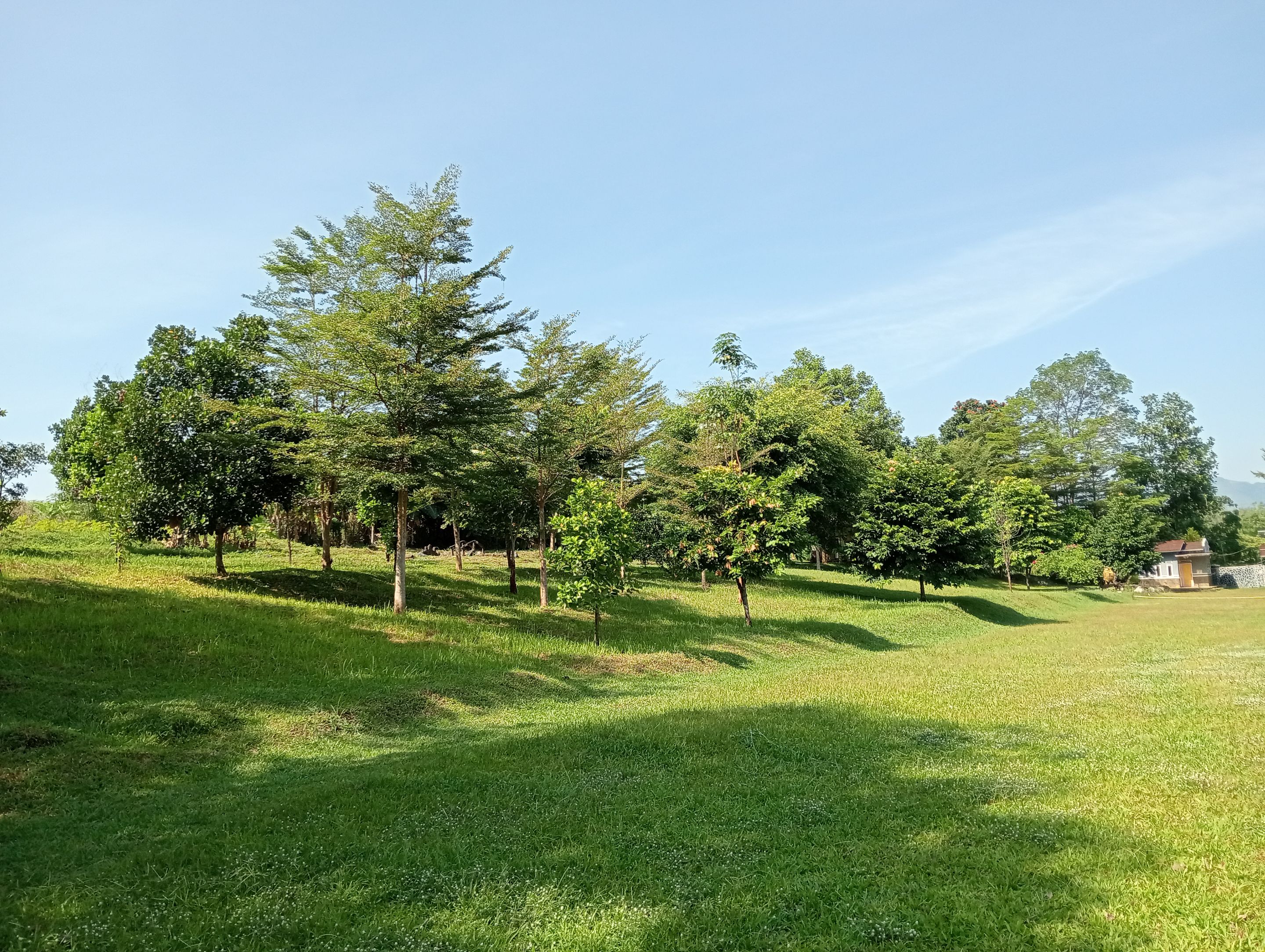 IMG20250804094825.jpg