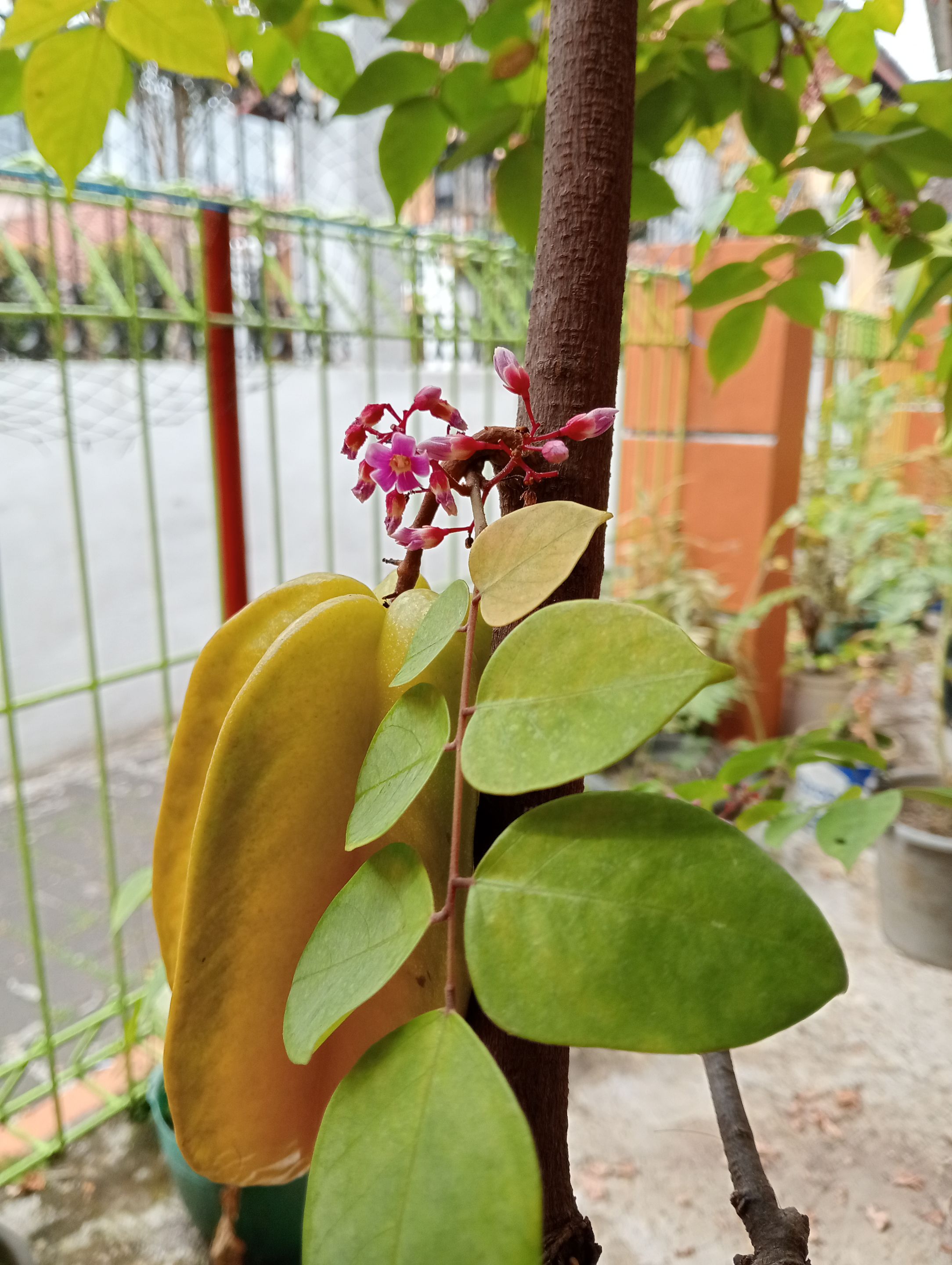 IMG20250803124326.jpg