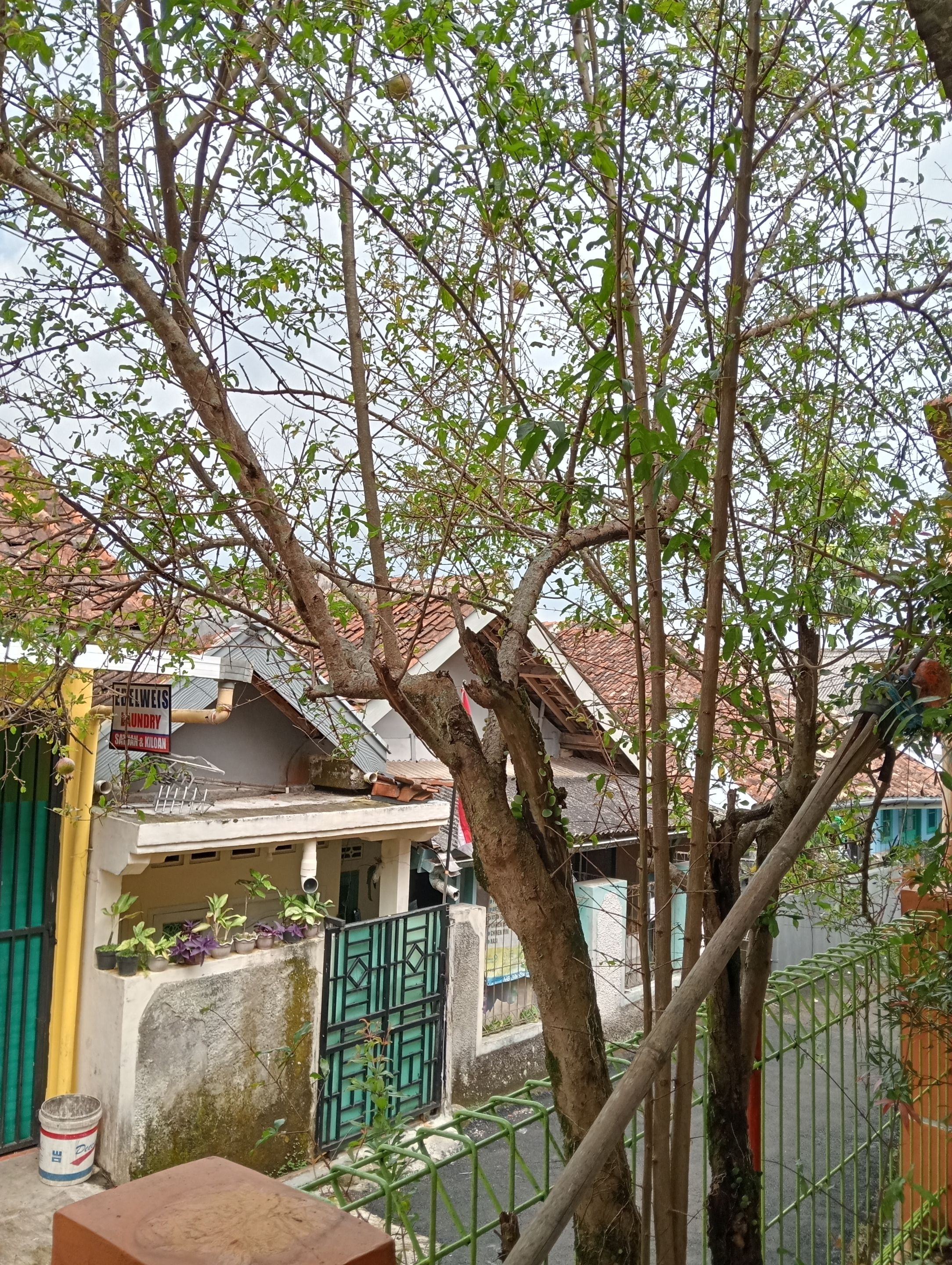 IMG20250813133809.jpg
