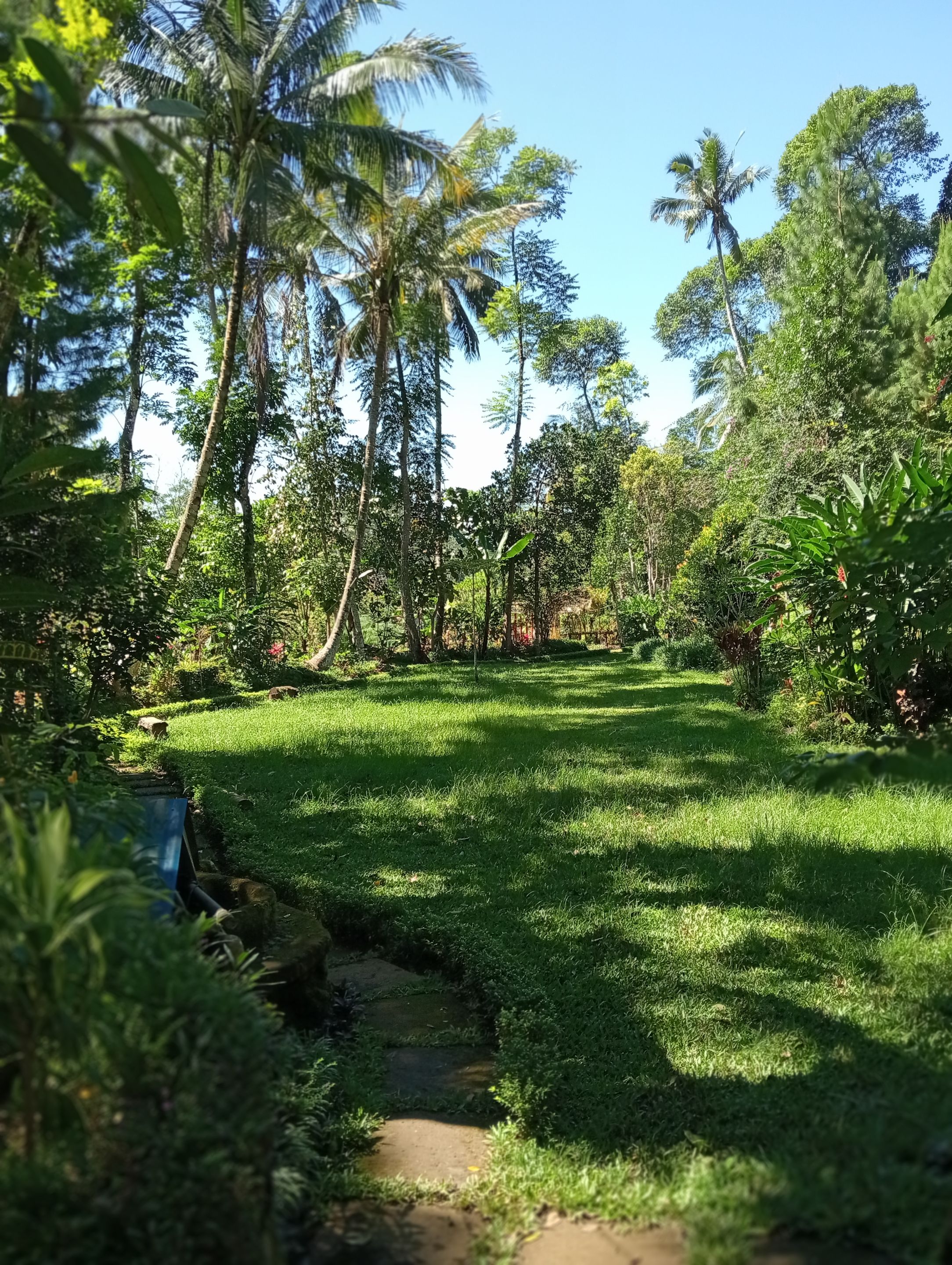 IMG20250608103149.jpg