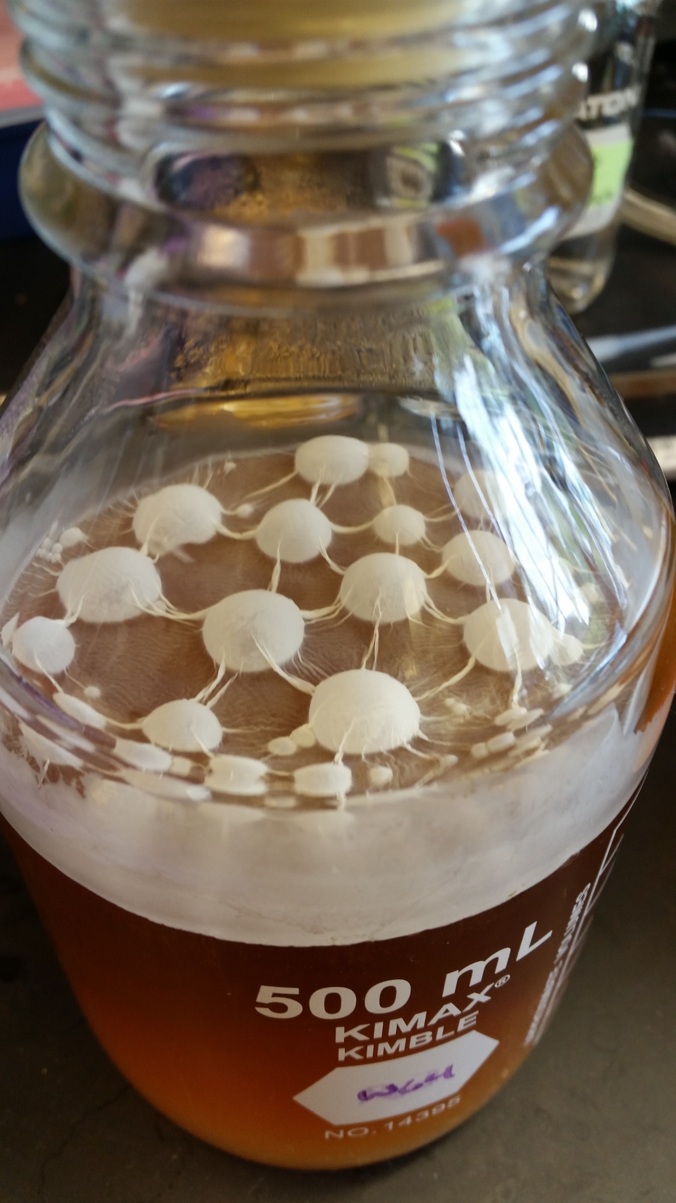 20160729_095134.jpg