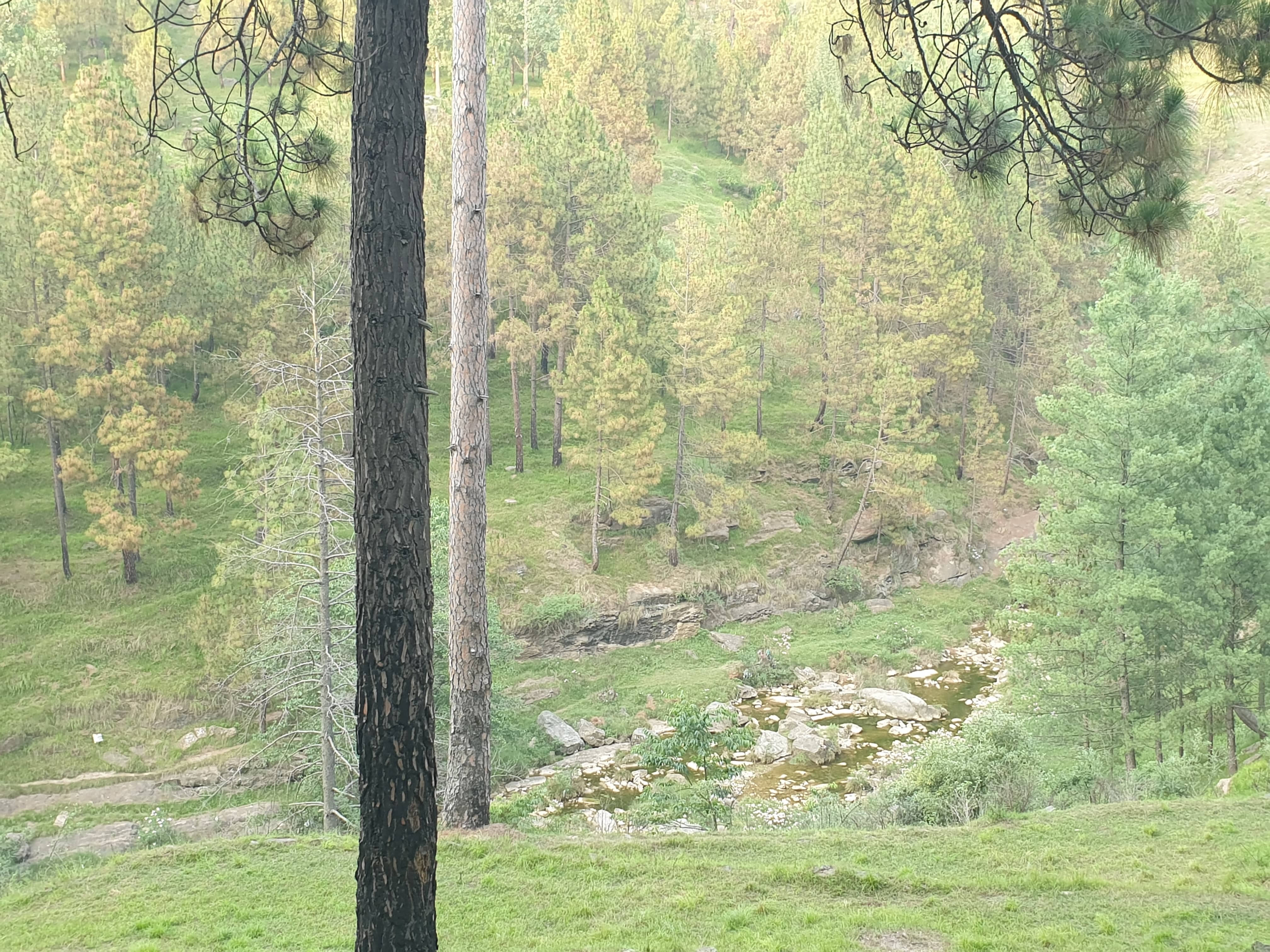 $1