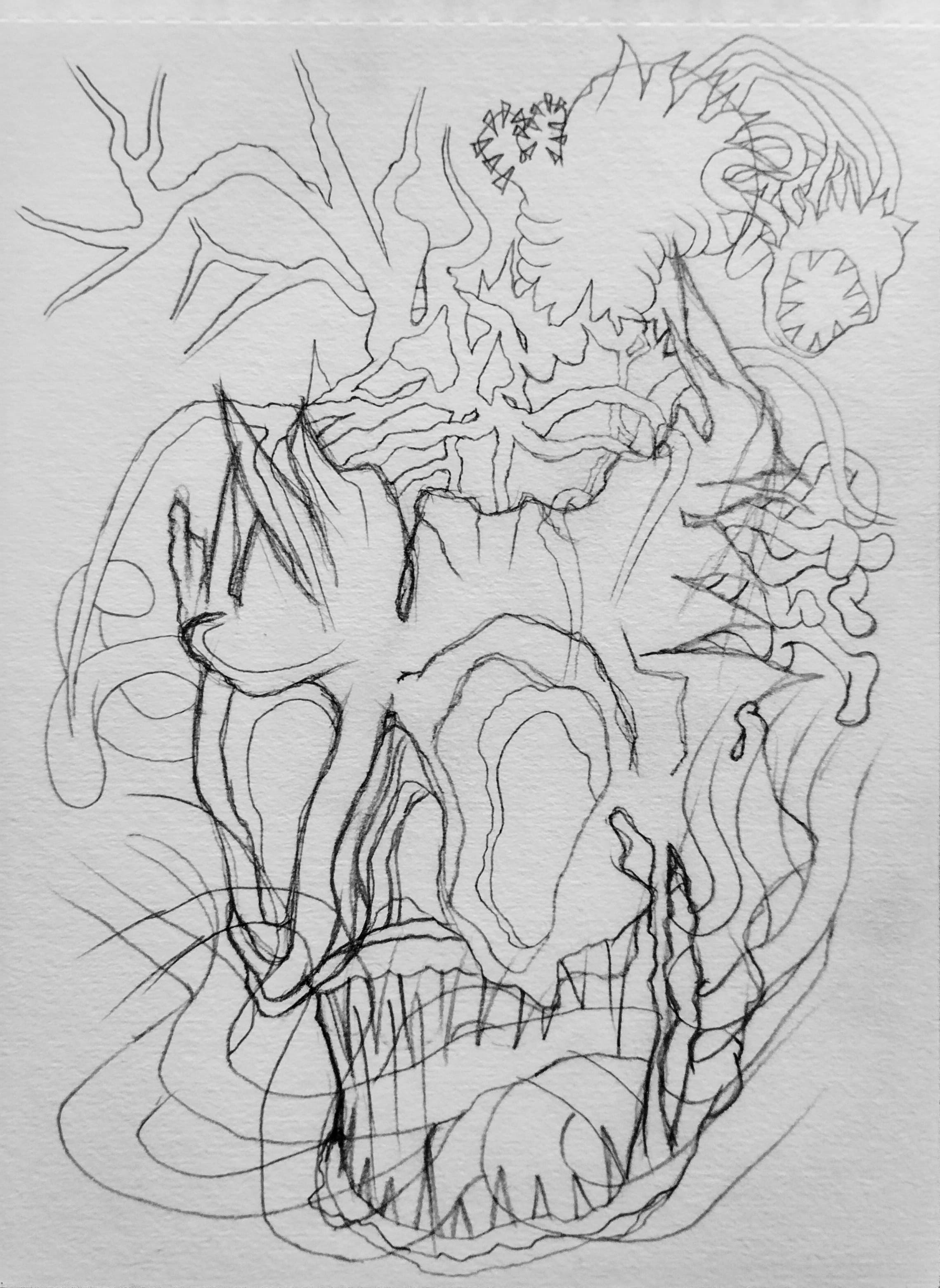 wild plants - sketch.jpg