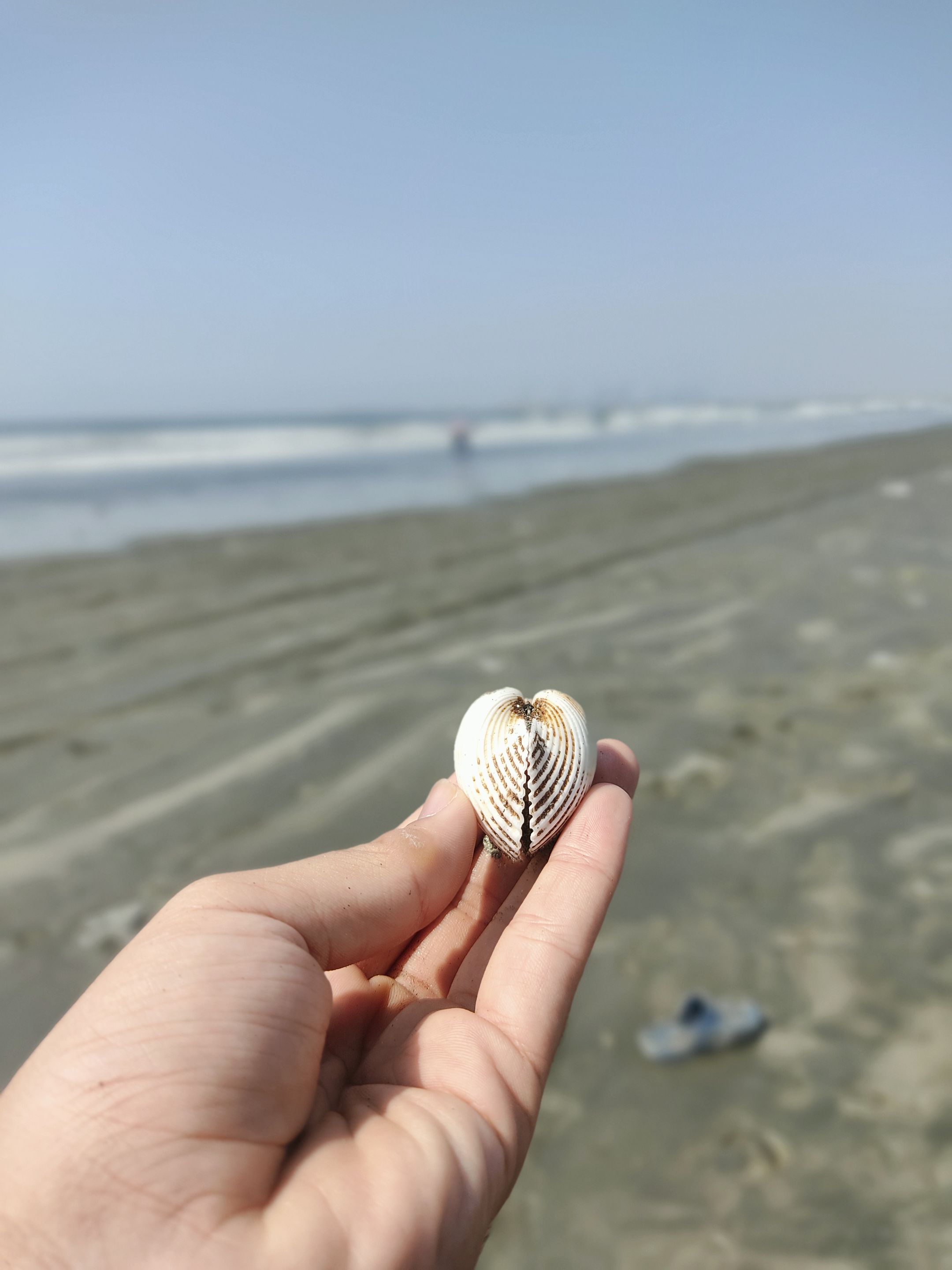 IMG_20221029_112902.jpg