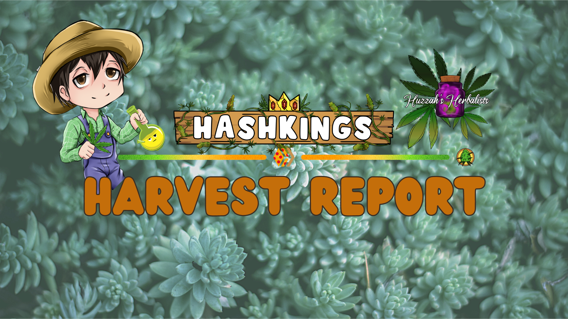 Banner HK Harvest (2).png