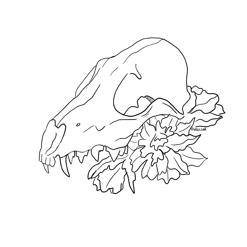 fox0.png
