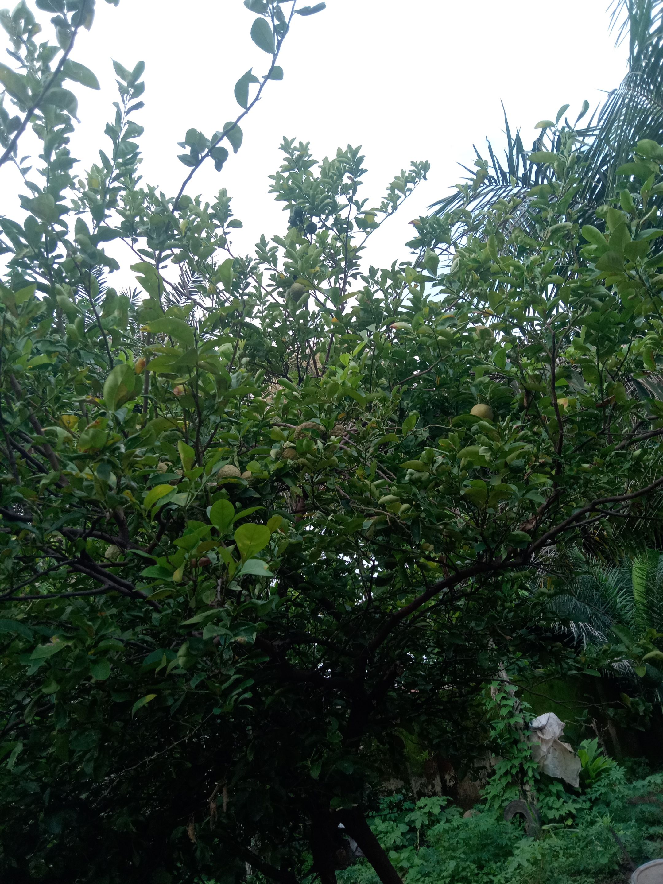 IMG_20250801_175755.jpg