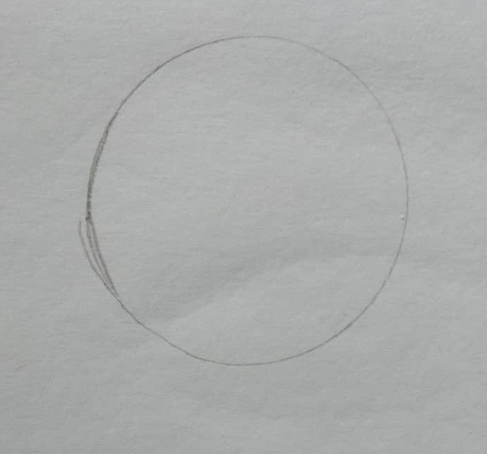 305449213_411615037557415_5176266075766698803_n.jpg