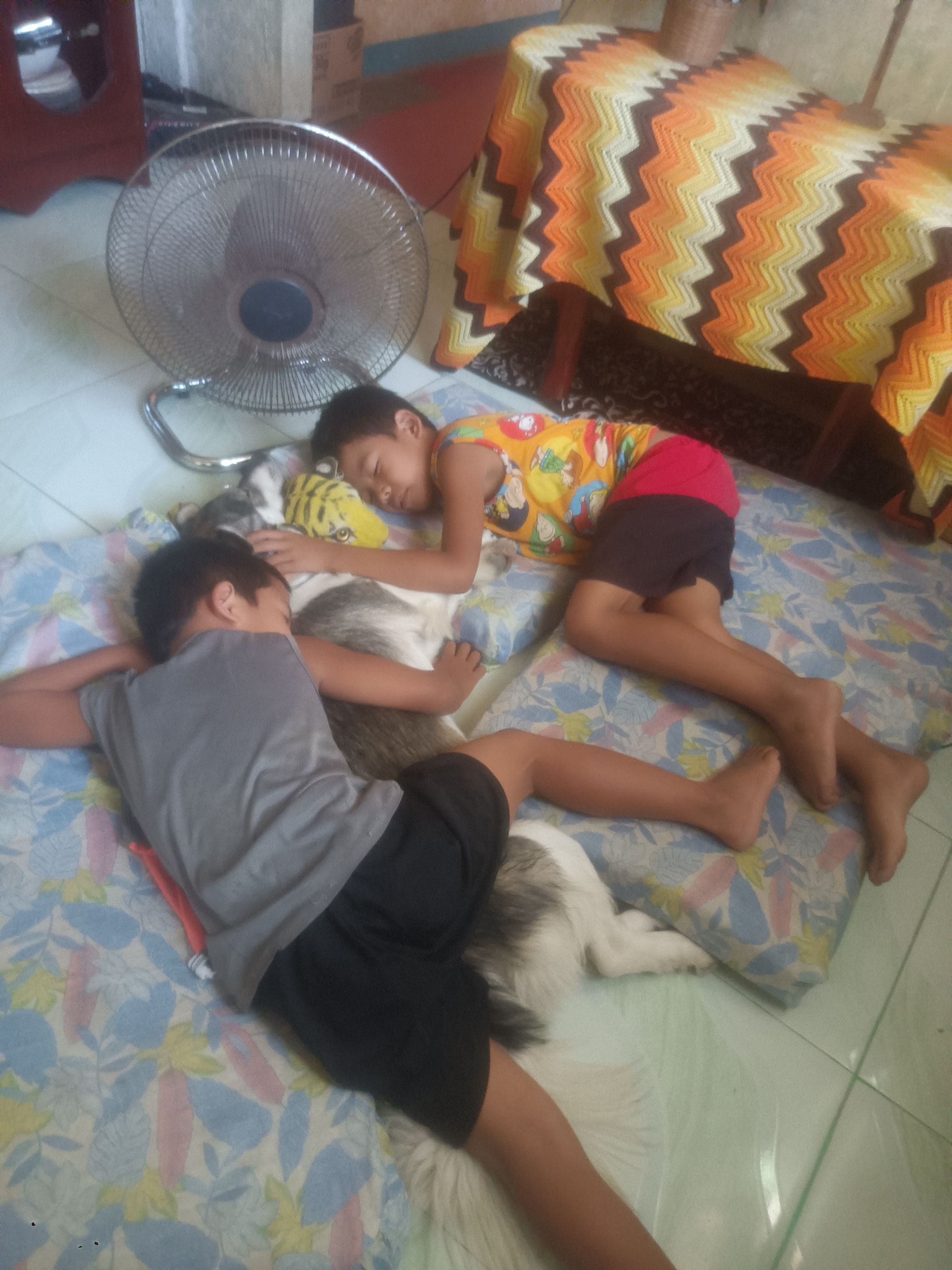 IMG20240416112939.jpg