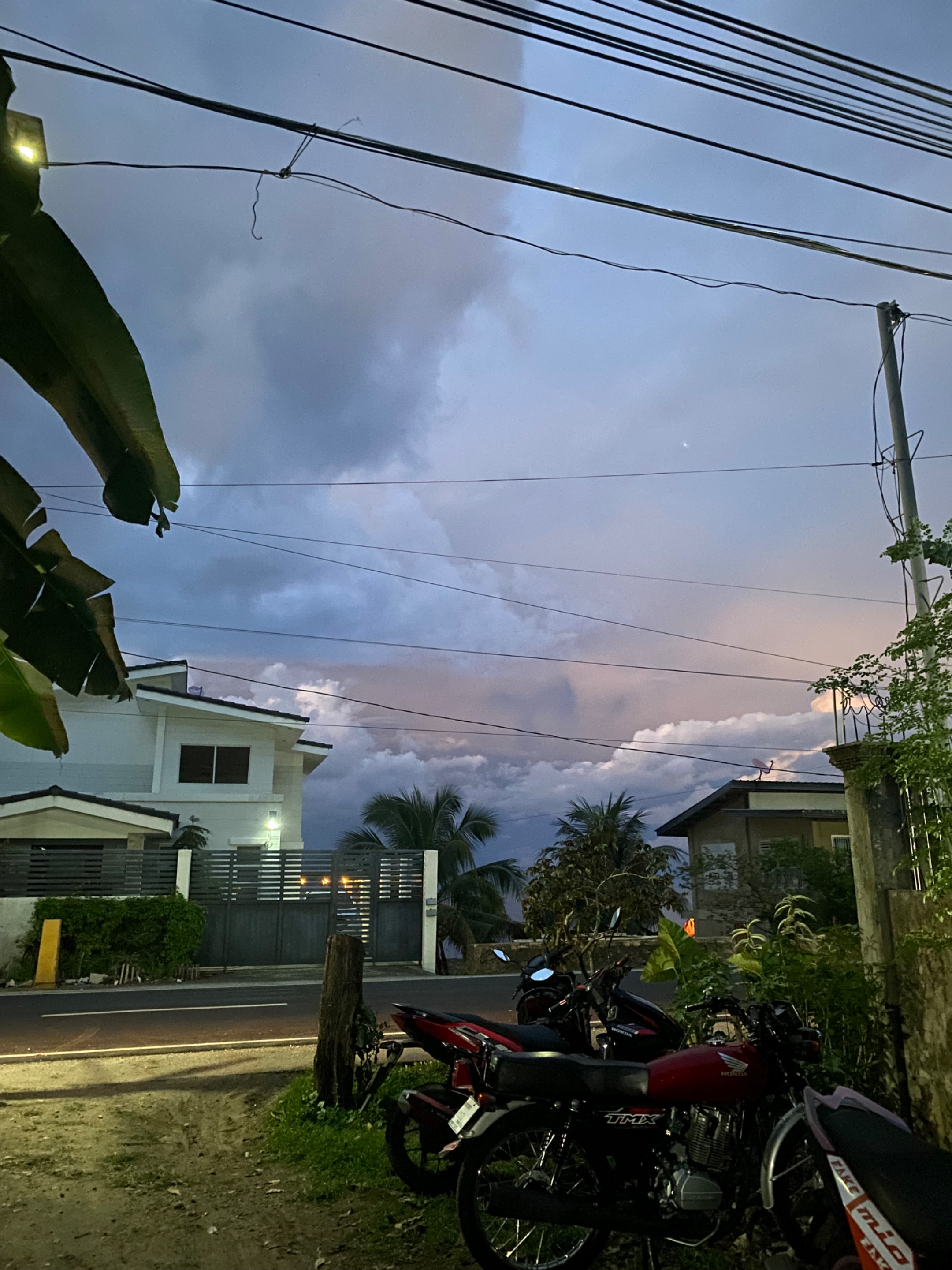 IMG_0804.jpeg