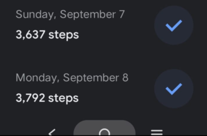 steps.jpg